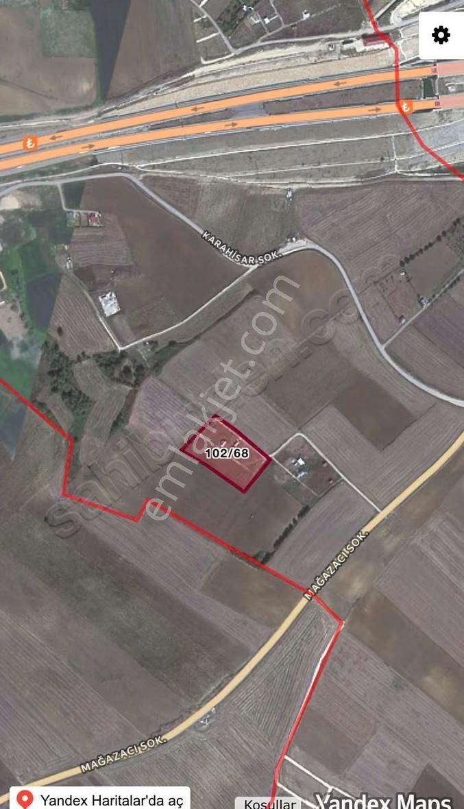 Çatalca Elbasan 250 Metre Kuzey Marmara Üstü Harika Yer