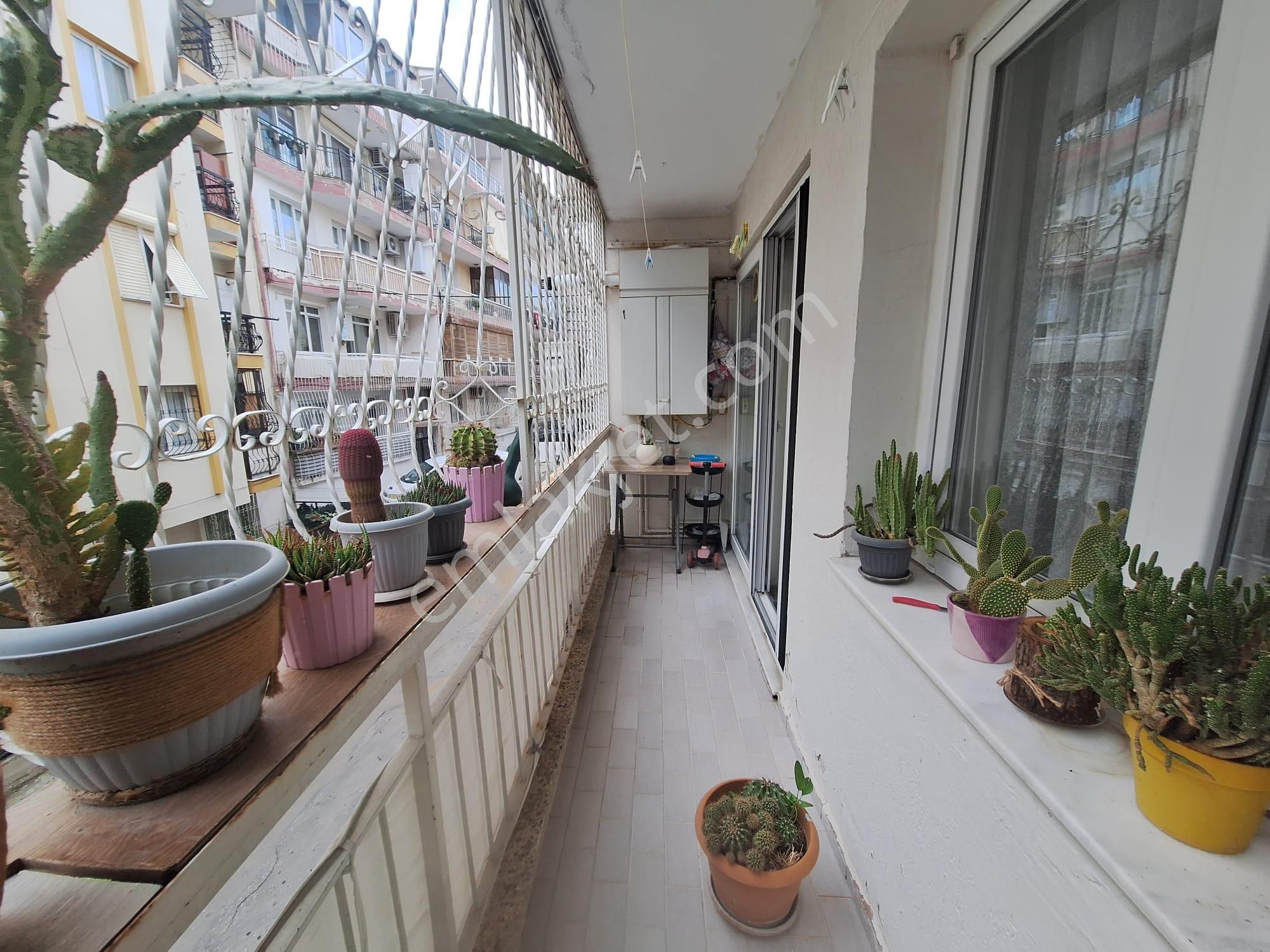Kücükyalı Hatay Gönül Duragı Yakını Bakımlı - Görsel 14