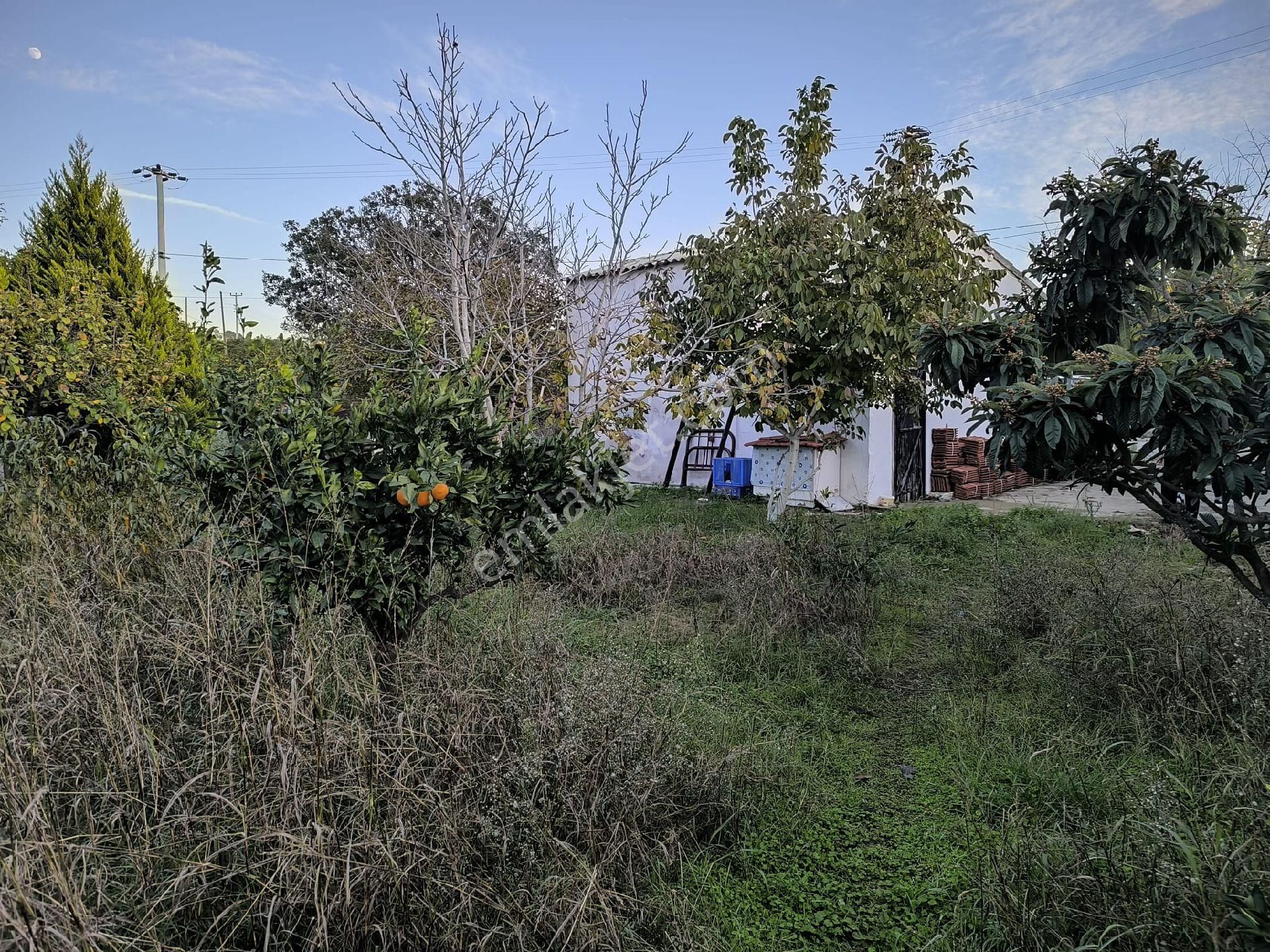 Seferihisar Merkez Yakını 1.216 M² İçinde Ev Olan - Görsel 13