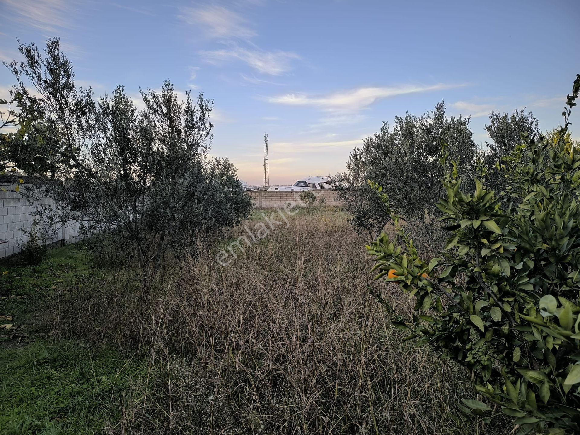 Seferihisar Merkez Yakını 1.216 M² İçinde Ev Olan - Görsel 17