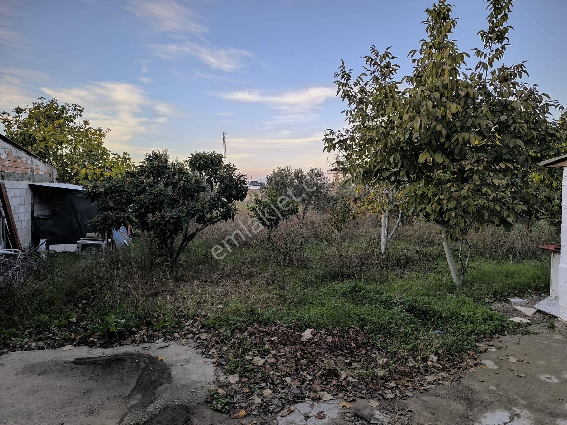 Seferihisar Merkez Yakını 1.216 M² İçinde Ev Olan - Görsel 6