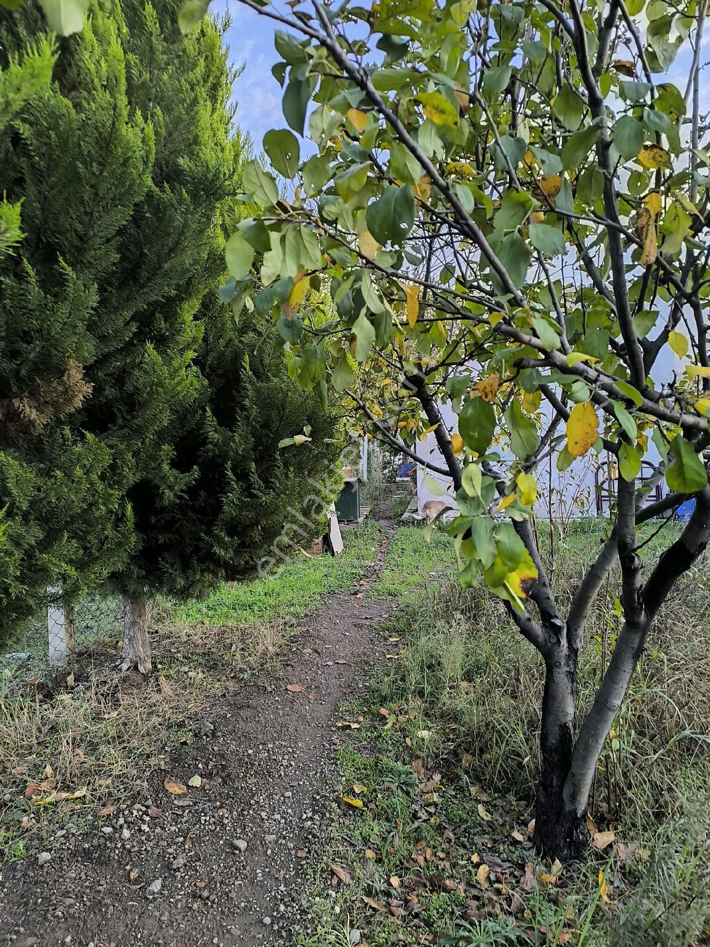 Seferihisar Merkez Yakını 1.216 M² İçinde Ev Olan - Görsel 15