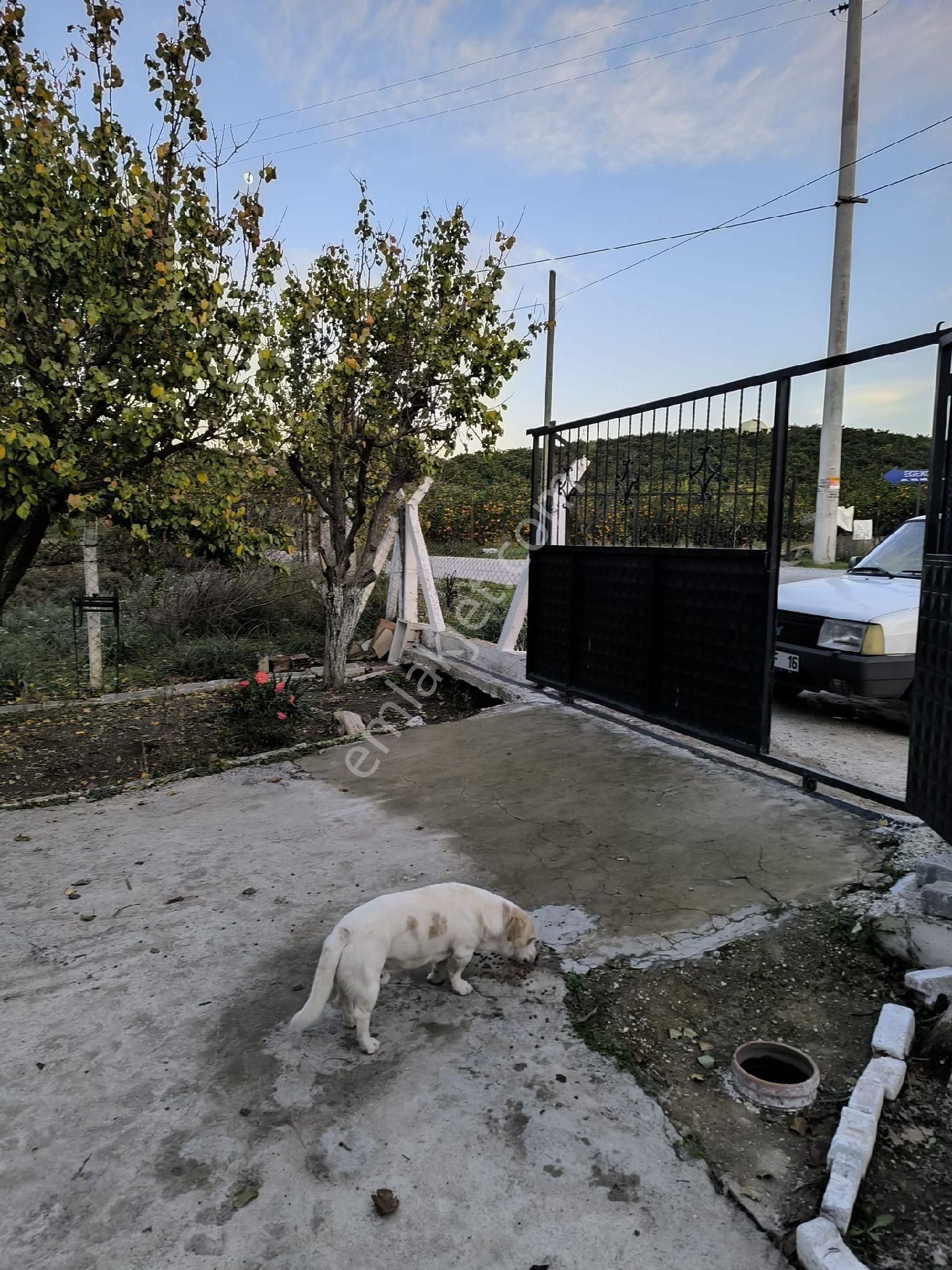 Seferihisar Merkez Yakını 1.216 M² İçinde Ev Olan - Görsel 12