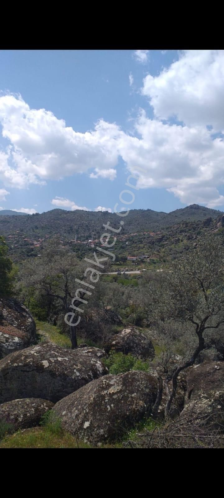 Zeytin Diyarı Tekelerde Tiny House Koymaya Uygun Yatırım Fırsatı Zeytinlik - Görsel 3