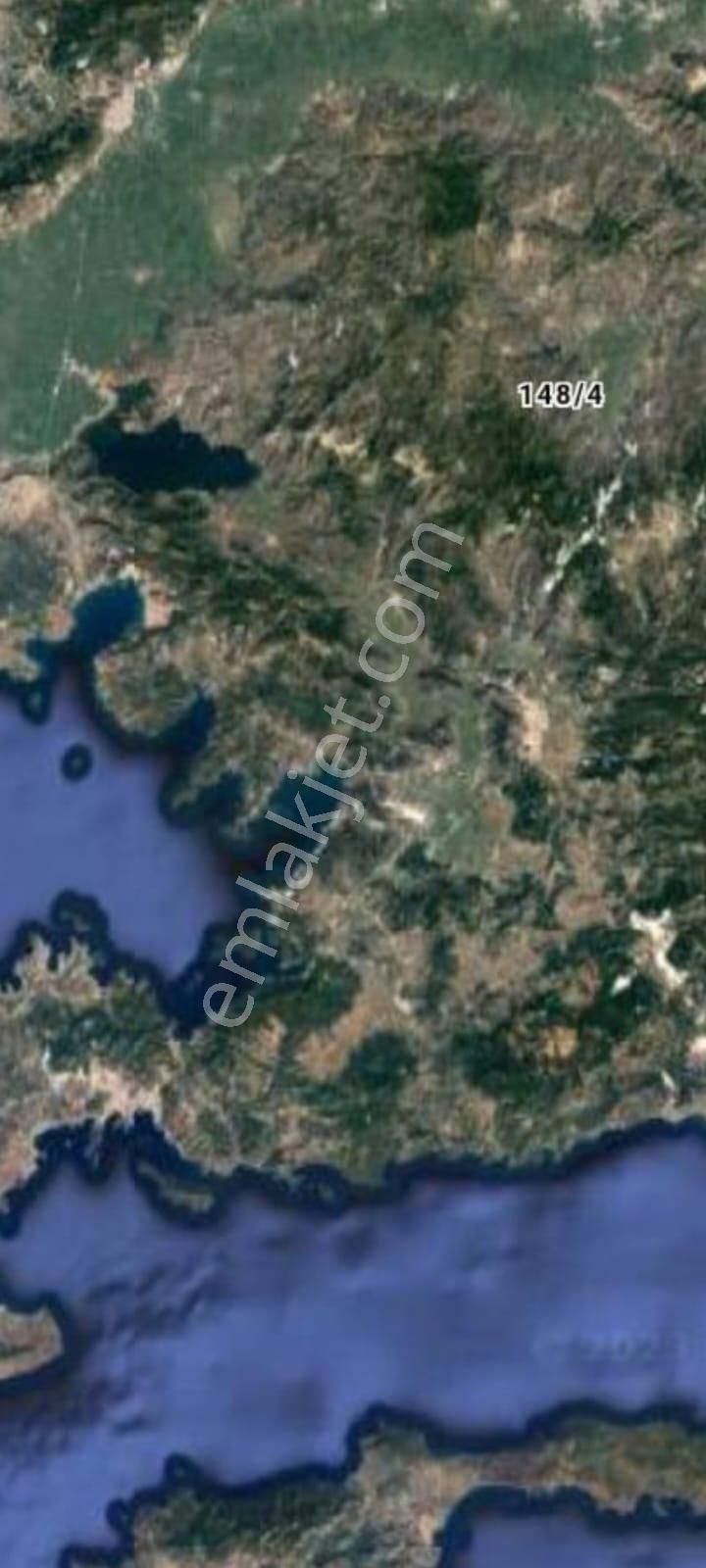 Zeytin Diyarı Tekelerde Tiny House Koymaya Uygun Yatırım Fırsatı Zeytinlik - Görsel 2