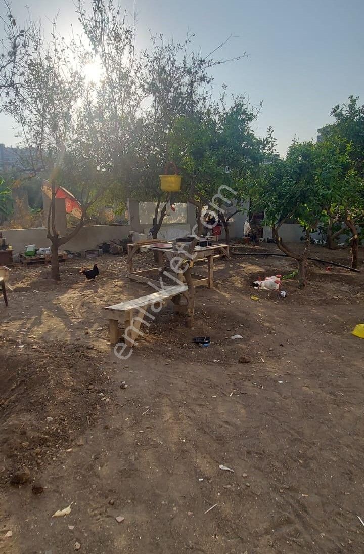 Karınca'dan Amerikan Mutfaklı Eşyalı Bu Fiyata Kaçmaz 1+1! - Görsel 21