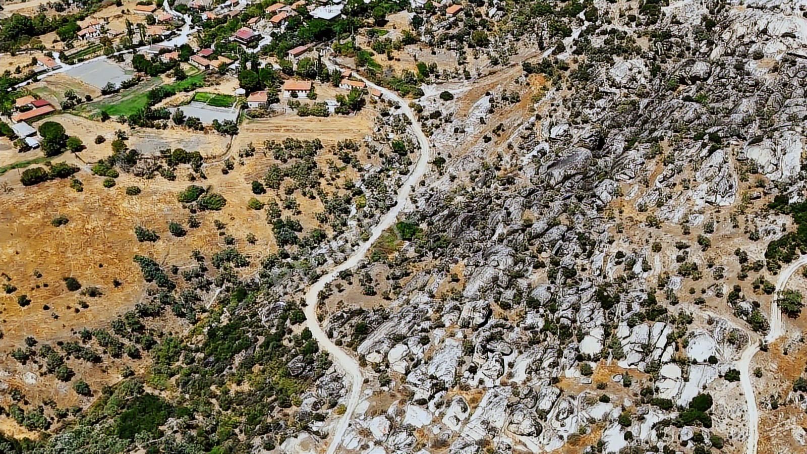Cb Marina'dan Hisarardı'nda 19 Dönüm Satılık "zeytinlik" - Görsel 7
