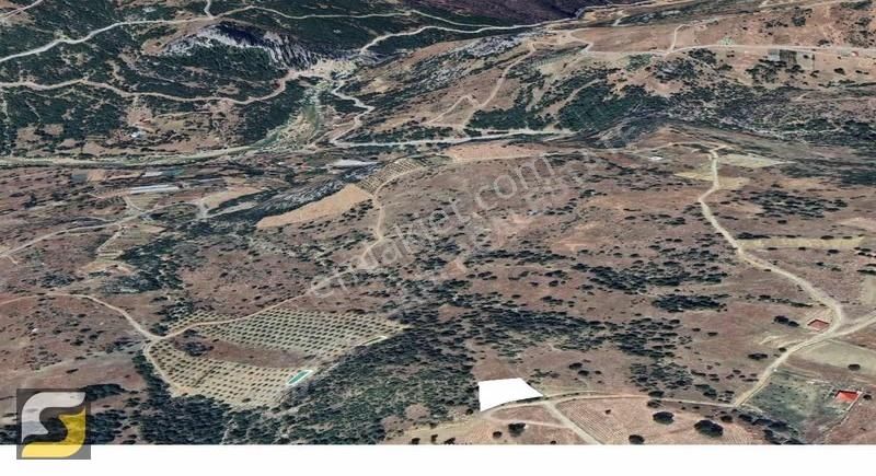 İmamlı Yaylasında Satılık 1.200 M2 Tarla - Görsel 3