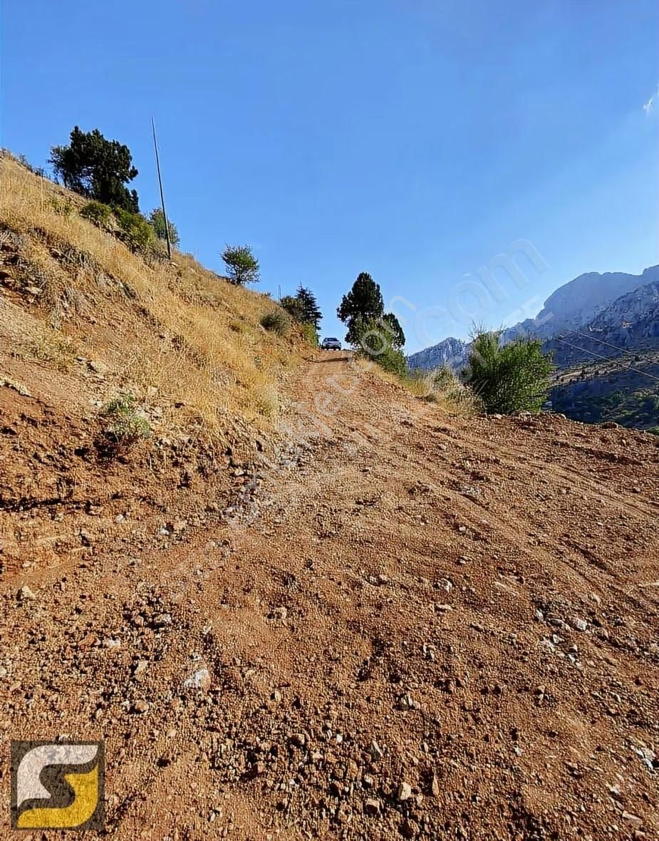 Çayarası Yaylasında Satılık 185 M2 Tarla - Görsel 2