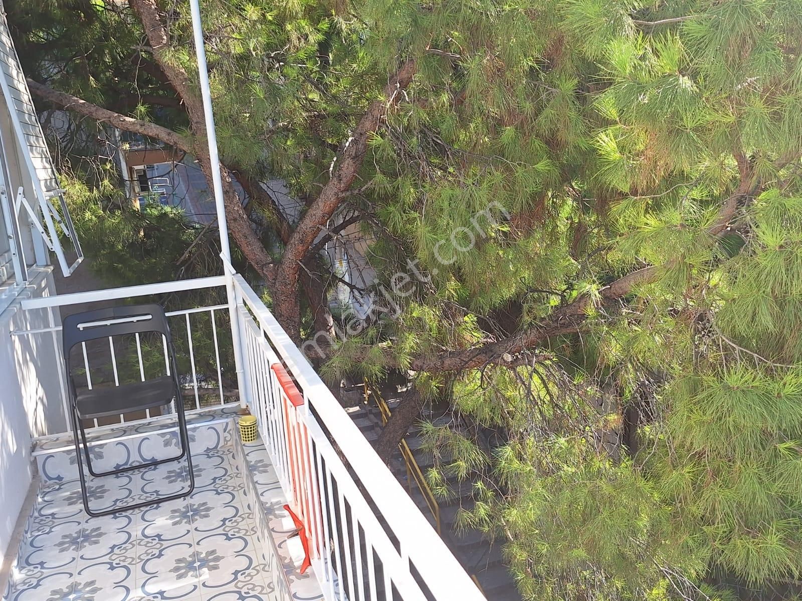 Halirifat Hatay Ortası Ful Bakımlı Deniz Manzaralı - Görsel 14