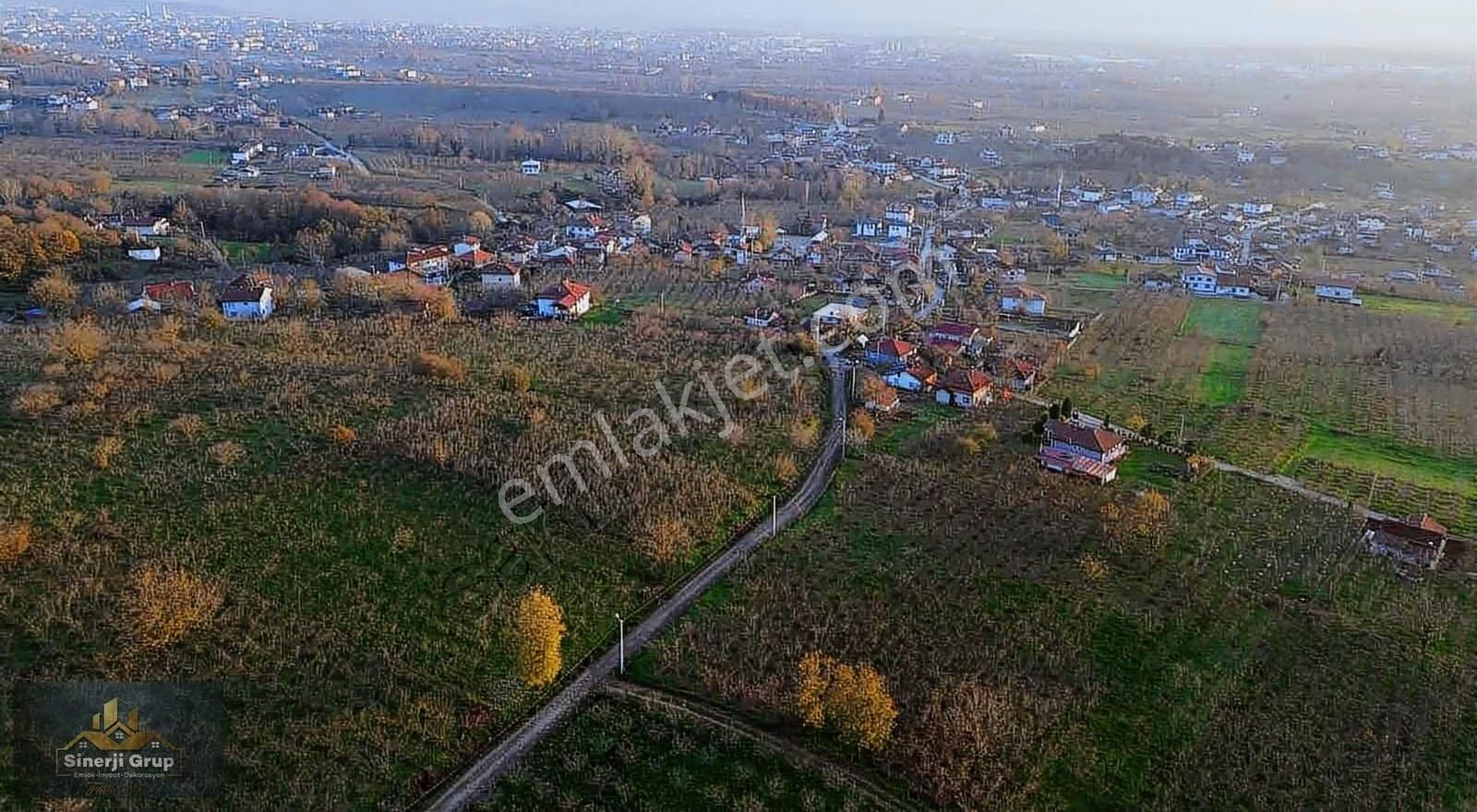 Sinerji Grup'tan Kazimiye'de Satılık 4.263 M2 Fındıklık - Görsel 3