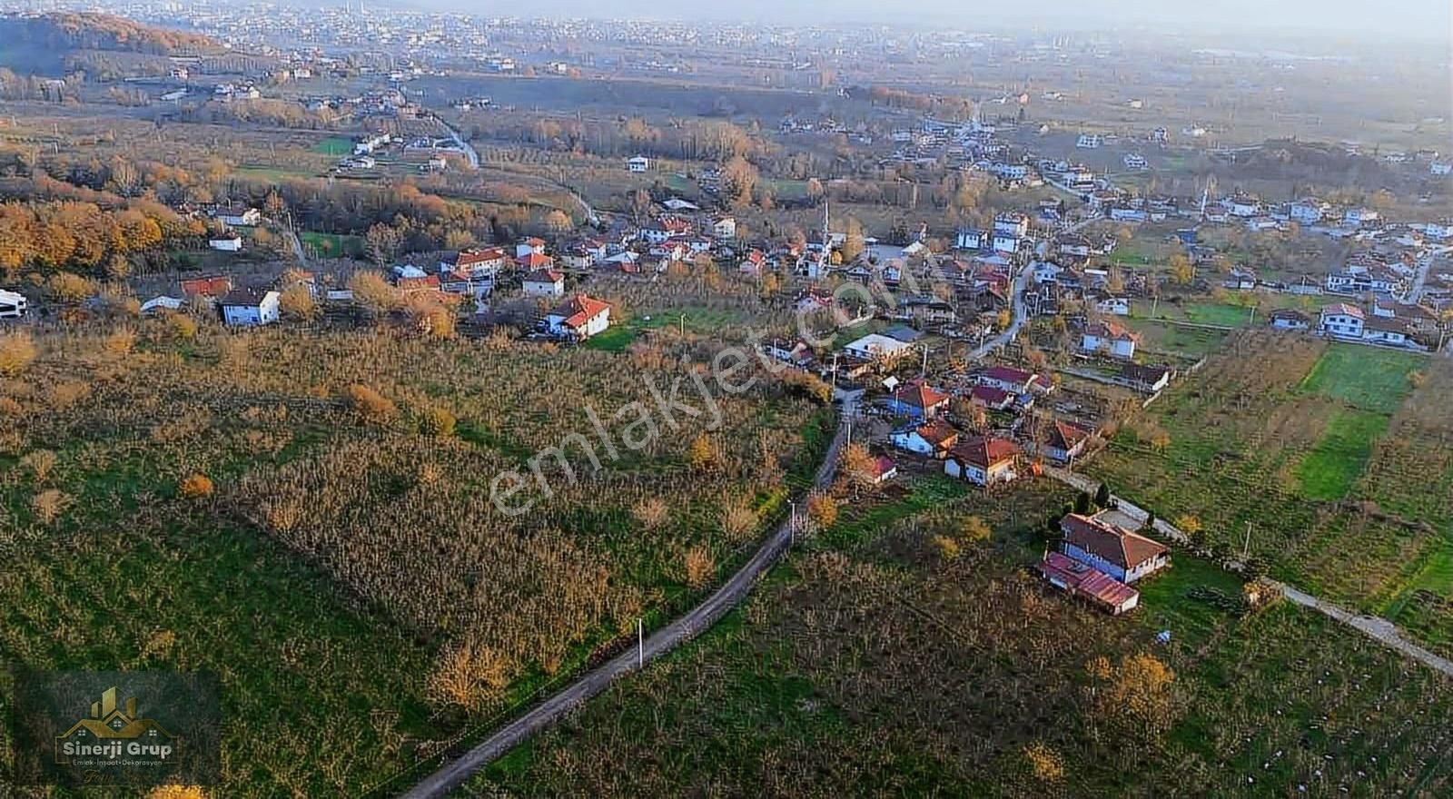 Sinerji Grup'tan Kazimiye'de Satılık 4.263 M2 Fındıklık - Görsel 2