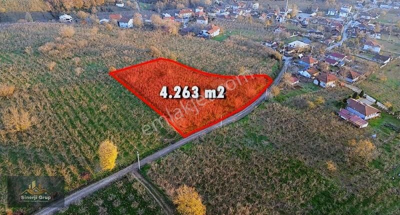 Sinerji Grup'tan Kazimiye'de Satılık 4.263 M2 Fındıklık