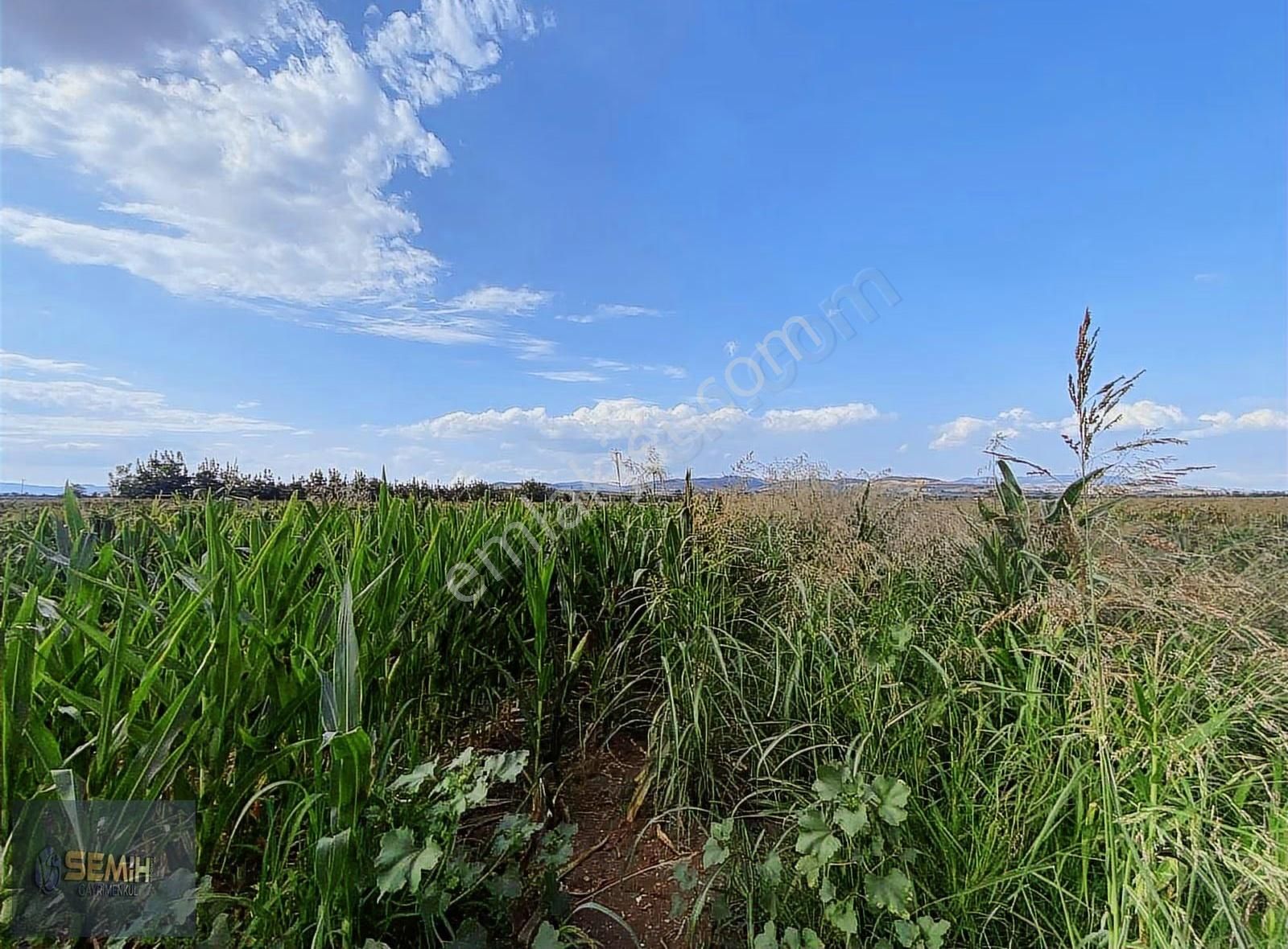 Semih'den Yenişehirin Bereketli Topraklarında Hobilik Bahçeler - Görsel 2