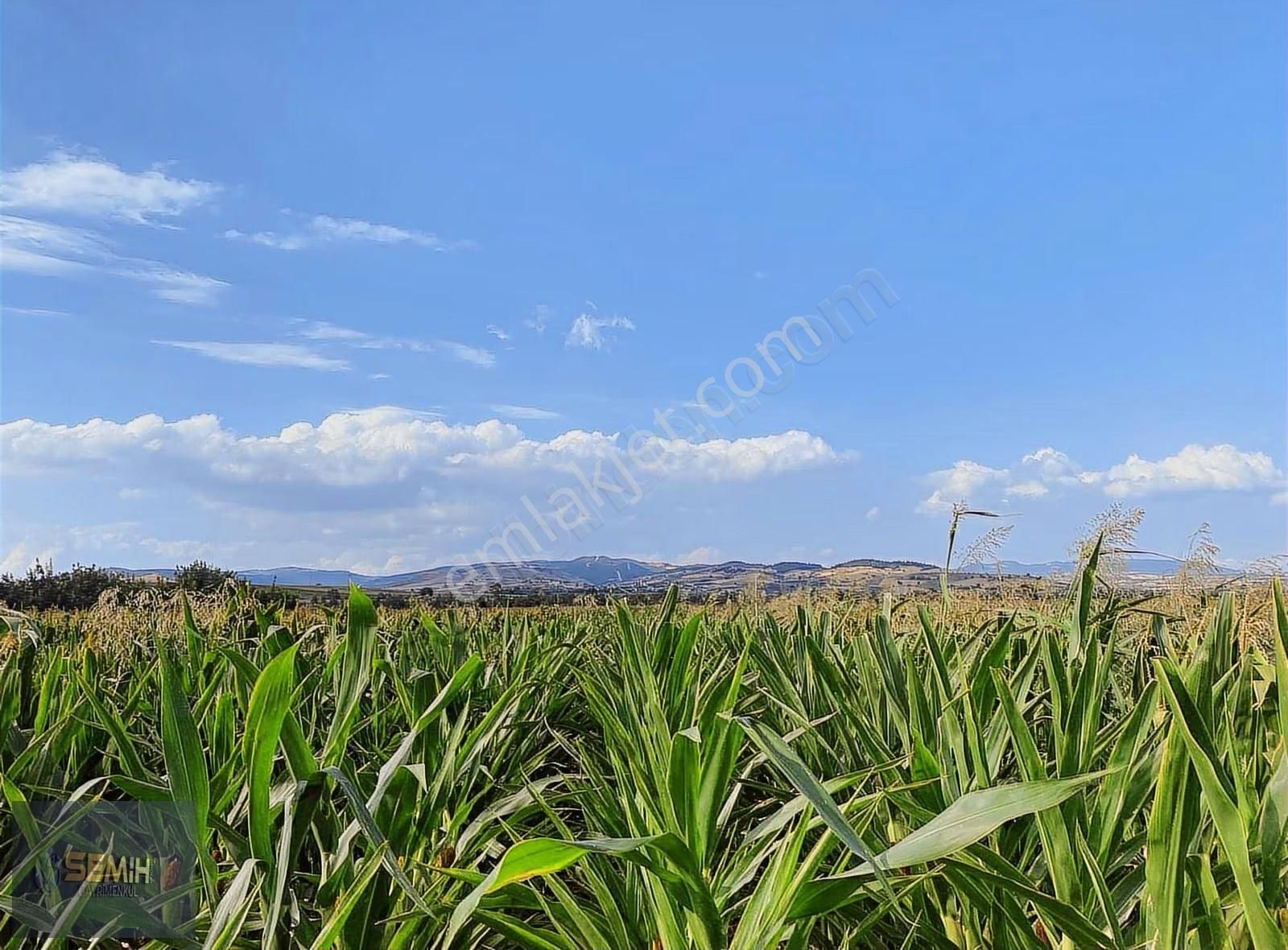 Semih'den Yenişehirin Bereketli Topraklarında Hobilik Bahçeler - Görsel 4