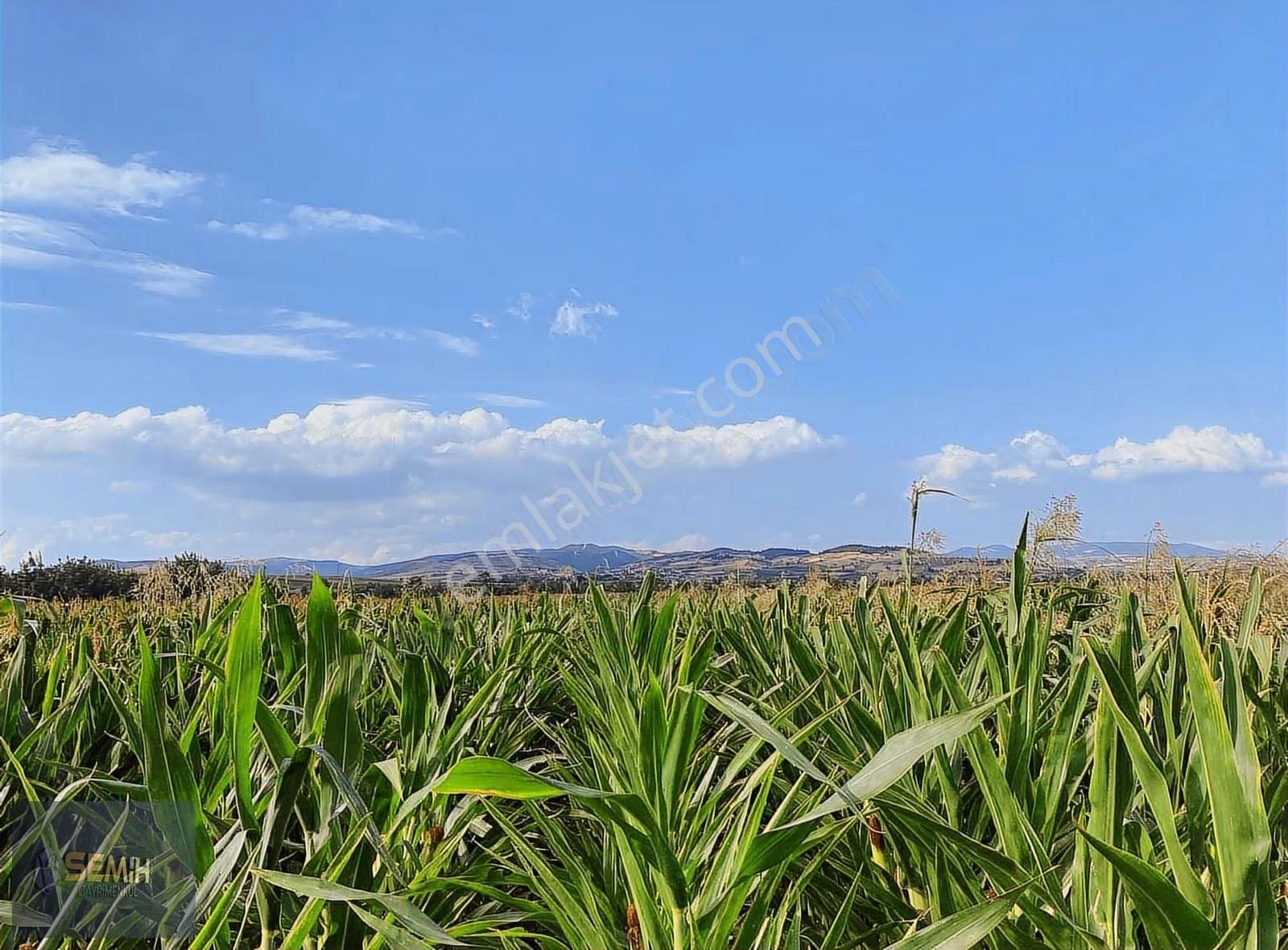 Semih'den Yenişehirin Bereketli Topraklarında Hobilik Bahçeler