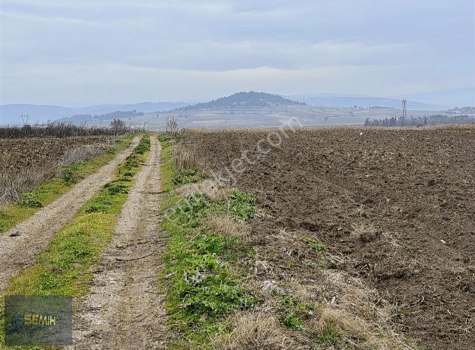 Semih'den Ebeköyde Yol Su Mevcut Tam Bir Hobilik Bahçe - Görsel 6