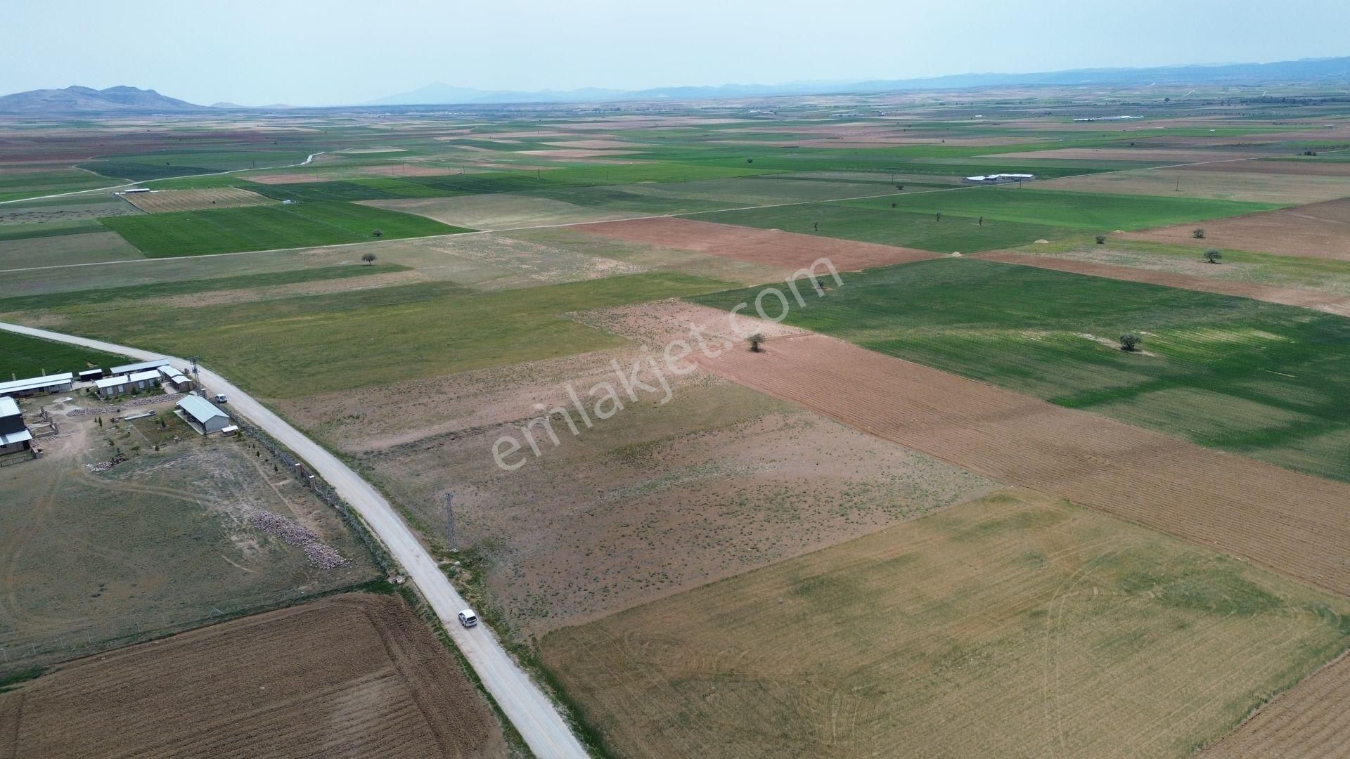 Konya / Meram / Hatunsaray Mahallesinde 6.091 M² Müstakil Tapulu Tarla - Görsel 7