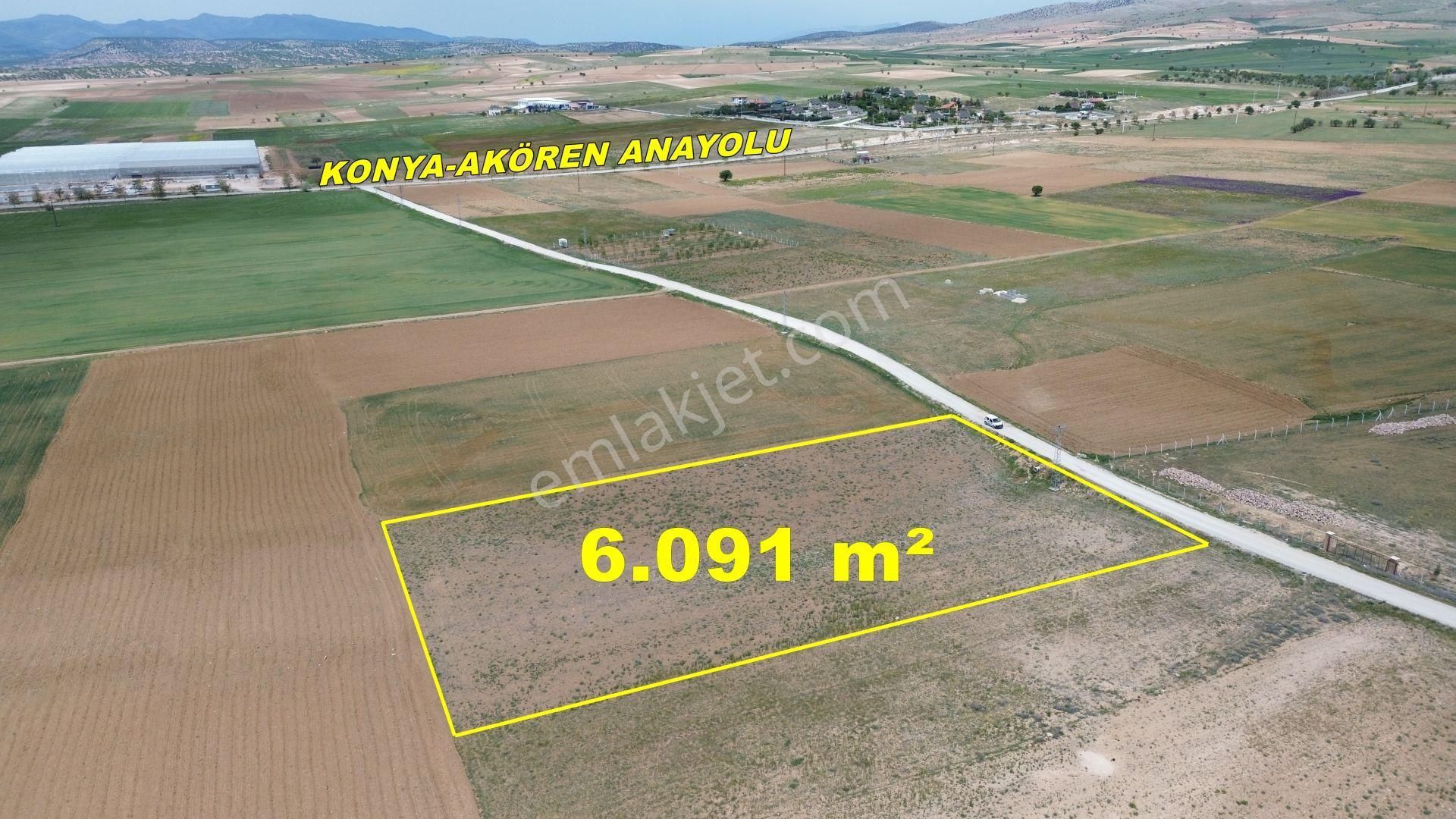 Konya / Meram / Hatunsaray Mahallesinde 6.091 M² Müstakil Tapulu Tarla