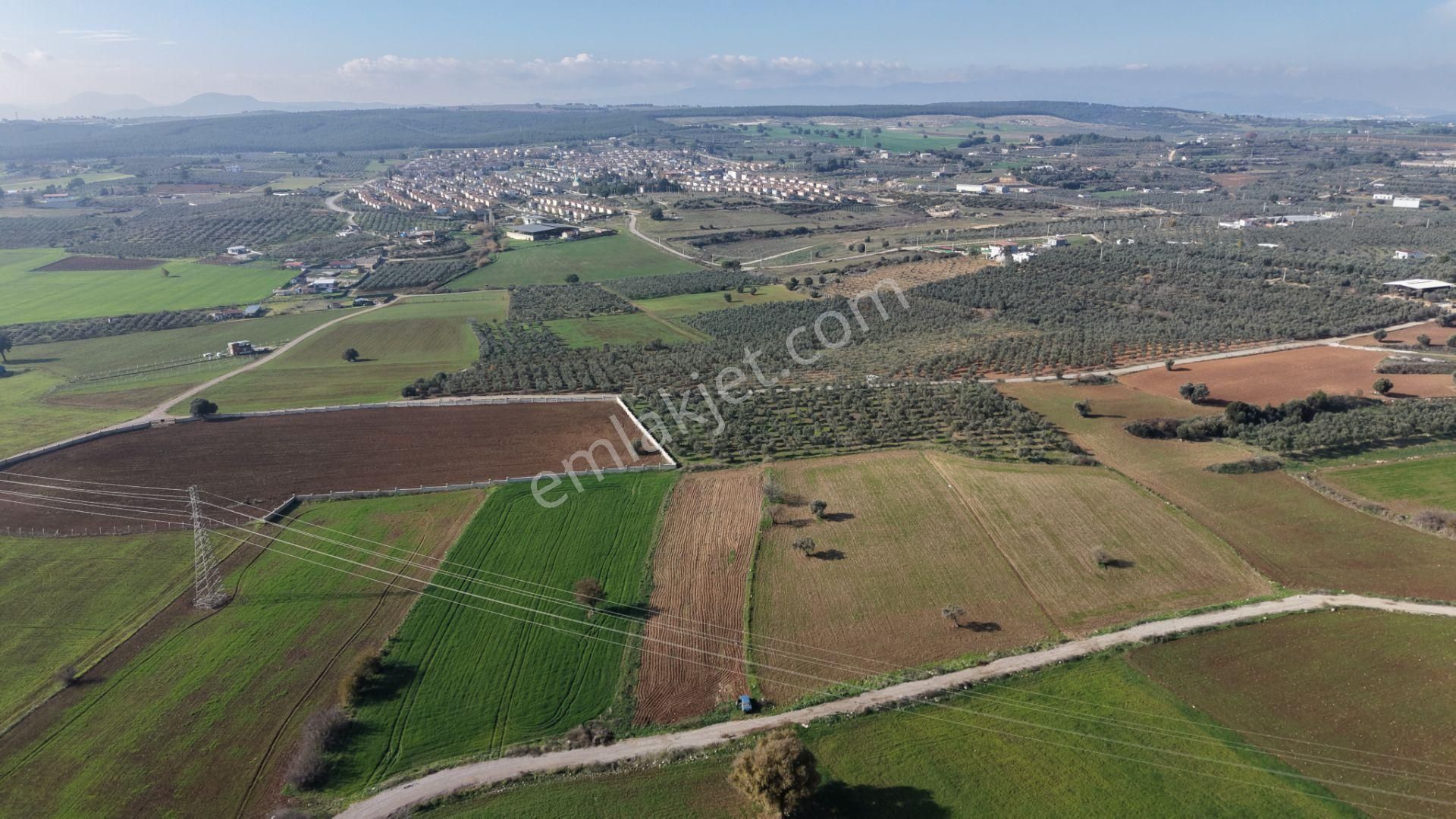 Mendereste Satılık Tektapu 2.500 M2 Pancar Sanayi İmar Dibinde Bahçe - Görsel 6