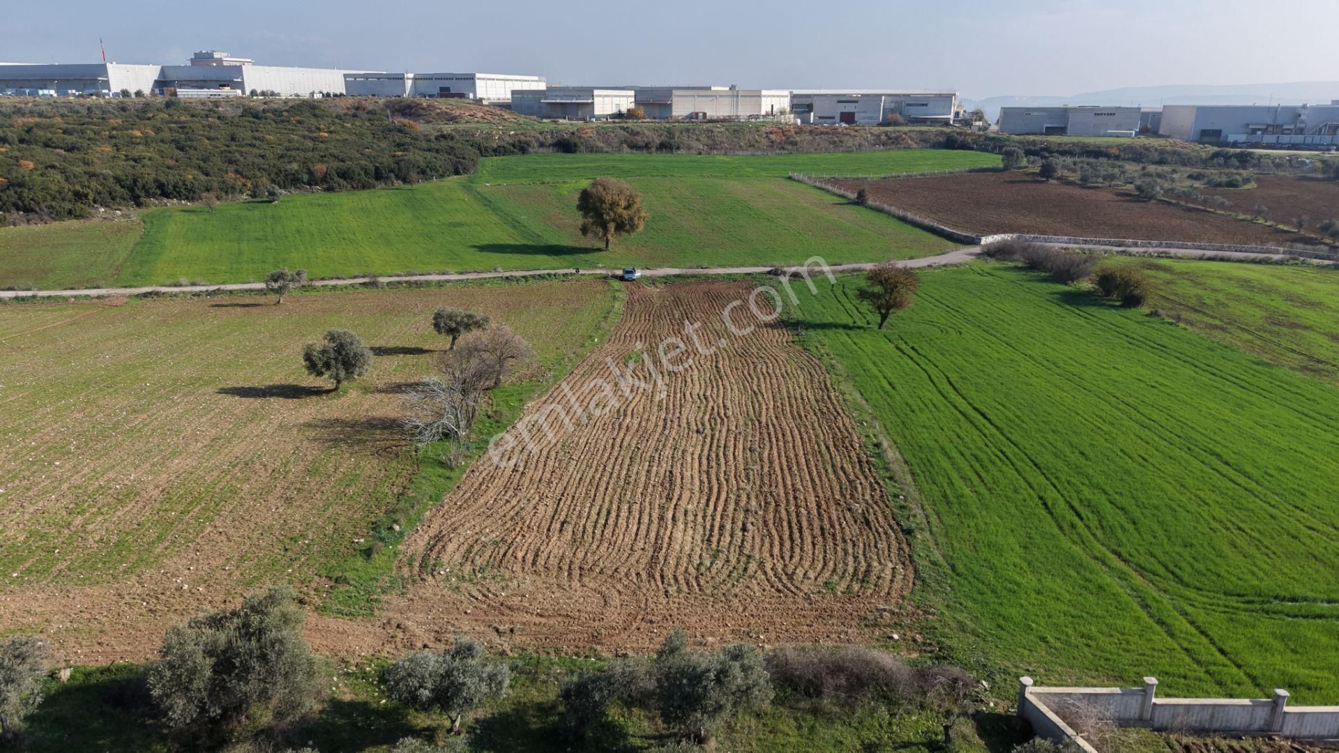 Mendereste Satılık Tektapu 2.500 M2 Pancar Sanayi İmar Dibinde Bahçe - Görsel 9