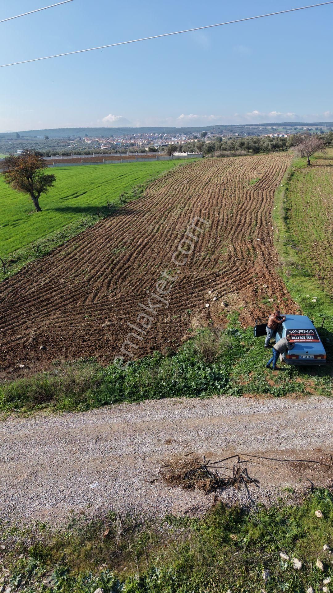 Mendereste Satılık Tektapu 2.500 M2 Pancar Sanayi İmar Dibinde Bahçe - Görsel 22