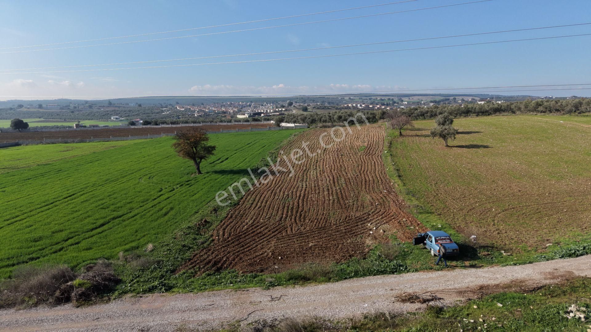 Mendereste Satılık Tektapu 2.500 M2 Pancar Sanayi İmar Dibinde Bahçe - Görsel 4