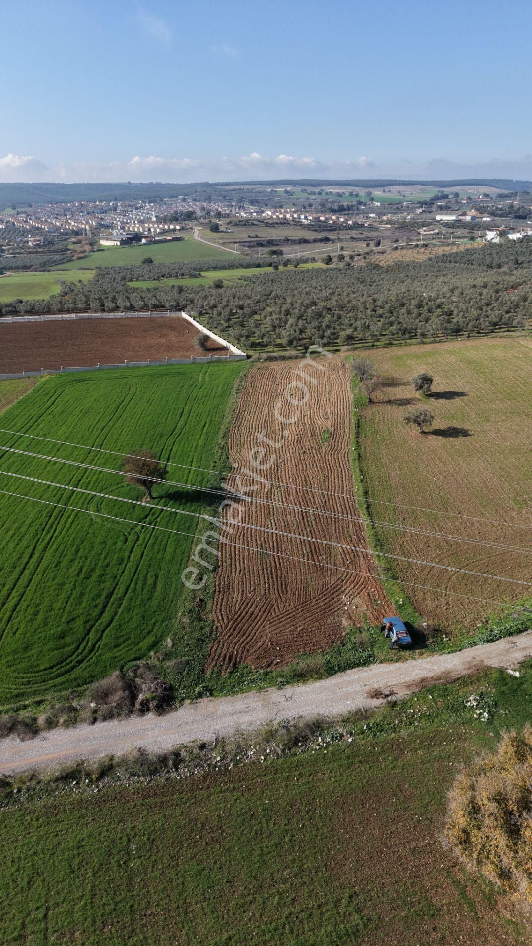 Mendereste Satılık Tektapu 2.500 M2 Pancar Sanayi İmar Dibinde Bahçe - Görsel 23