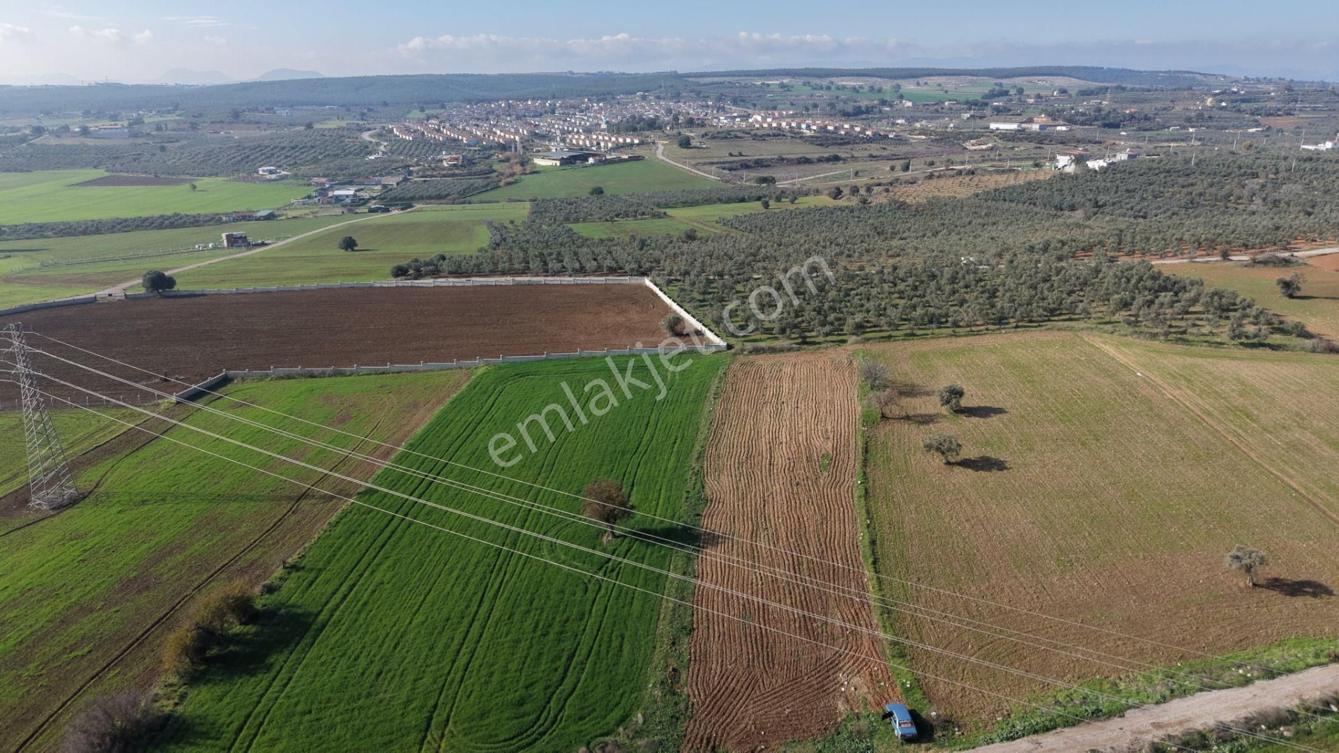 Mendereste Satılık Tektapu 2.500 M2 Pancar Sanayi İmar Dibinde Bahçe - Görsel 2