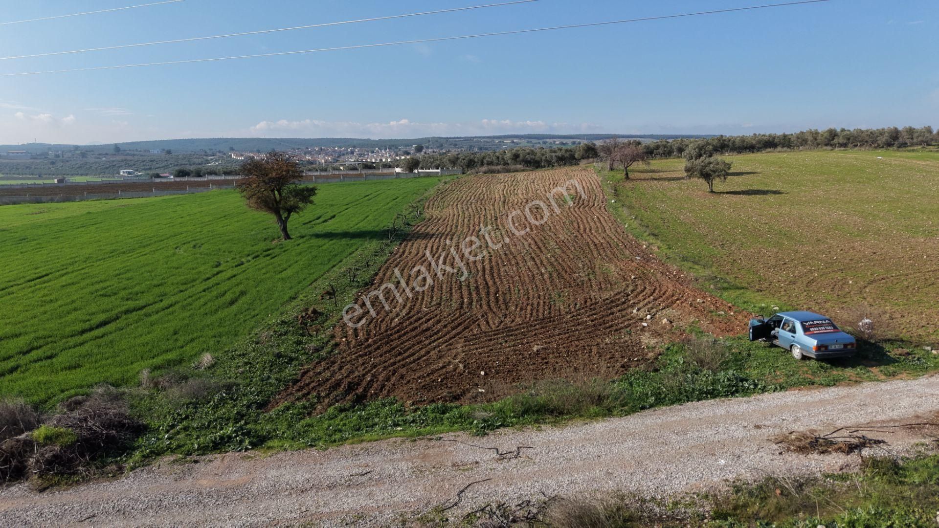 Mendereste Satılık Tektapu 2.500 M2 Pancar Sanayi İmar Dibinde Bahçe