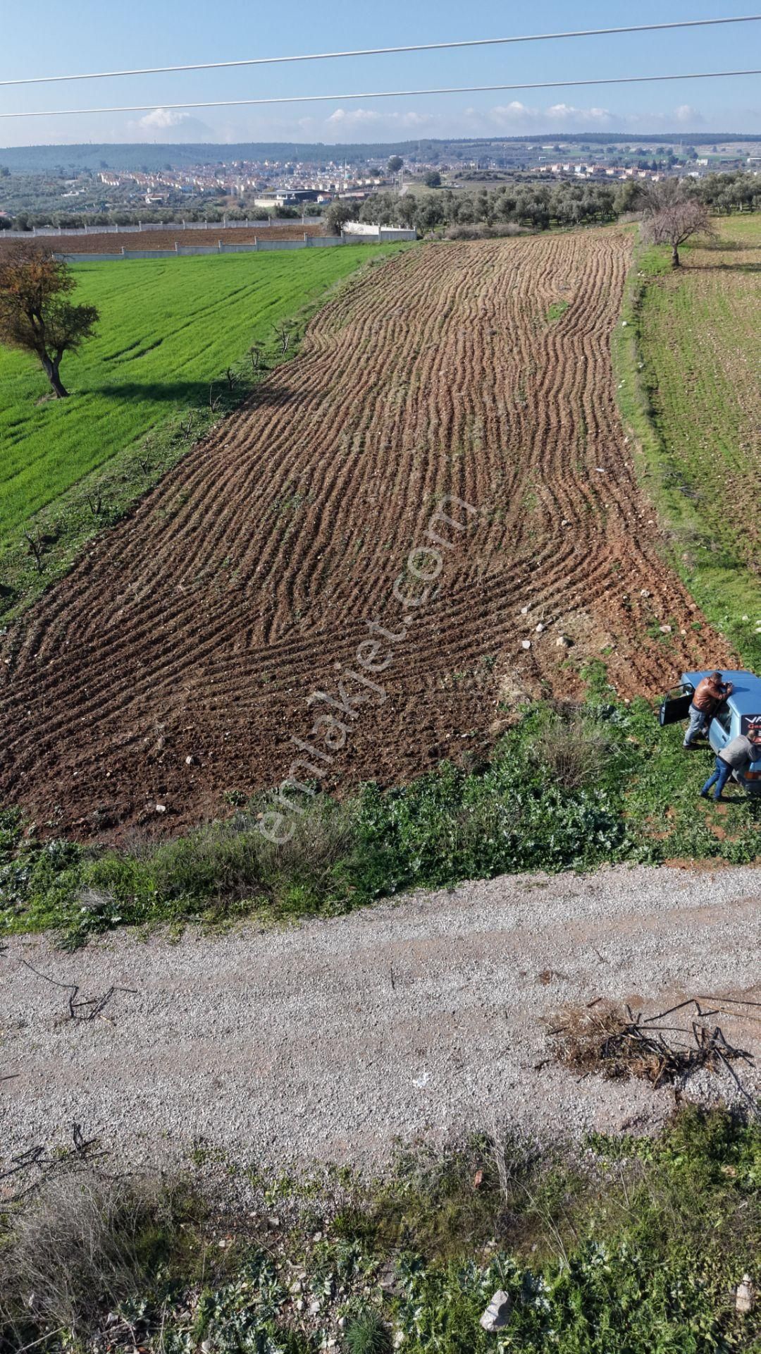 Mendereste Satılık Tektapu 2.500 M2 Pancar Sanayi İmar Dibinde Bahçe - Görsel 20