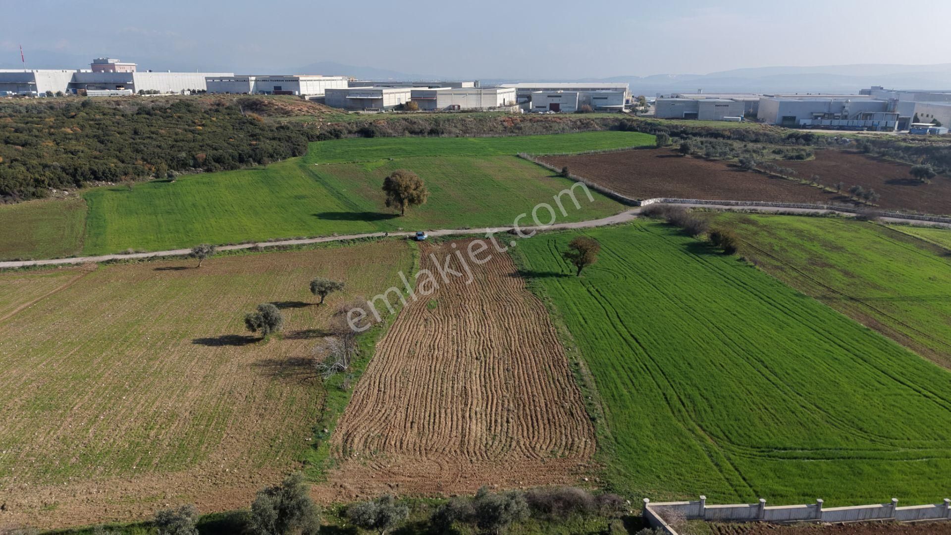 Mendereste Satılık Tektapu 2.500 M2 Pancar Sanayi İmar Dibinde Bahçe - Görsel 11