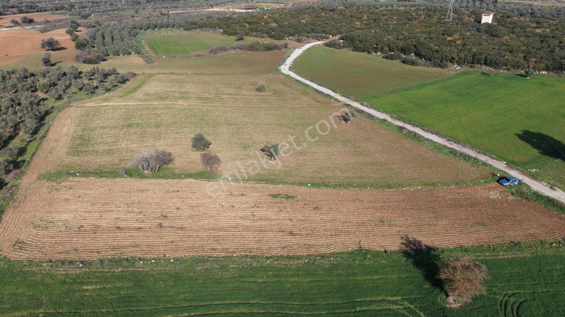 Mendereste Satılık Tektapu 2.500 M2 Pancar Sanayi İmar Dibinde Bahçe - Görsel 7