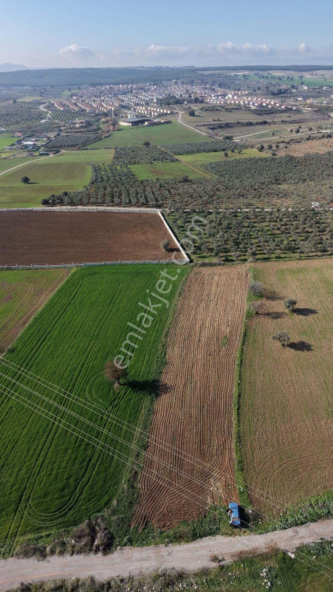 Mendereste Satılık Tektapu 2.500 M2 Pancar Sanayi İmar Dibinde Bahçe - Görsel 17