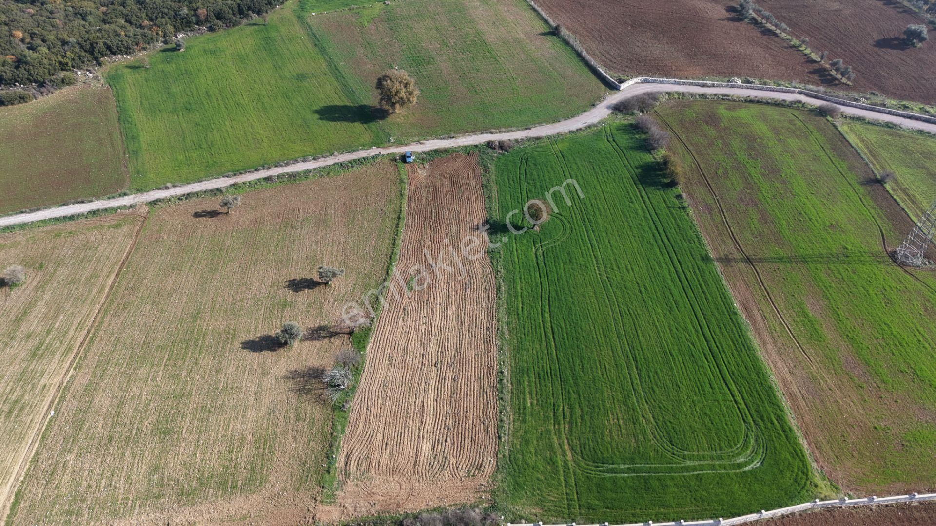 Mendereste Satılık Tektapu 2.500 M2 Pancar Sanayi İmar Dibinde Bahçe - Görsel 13