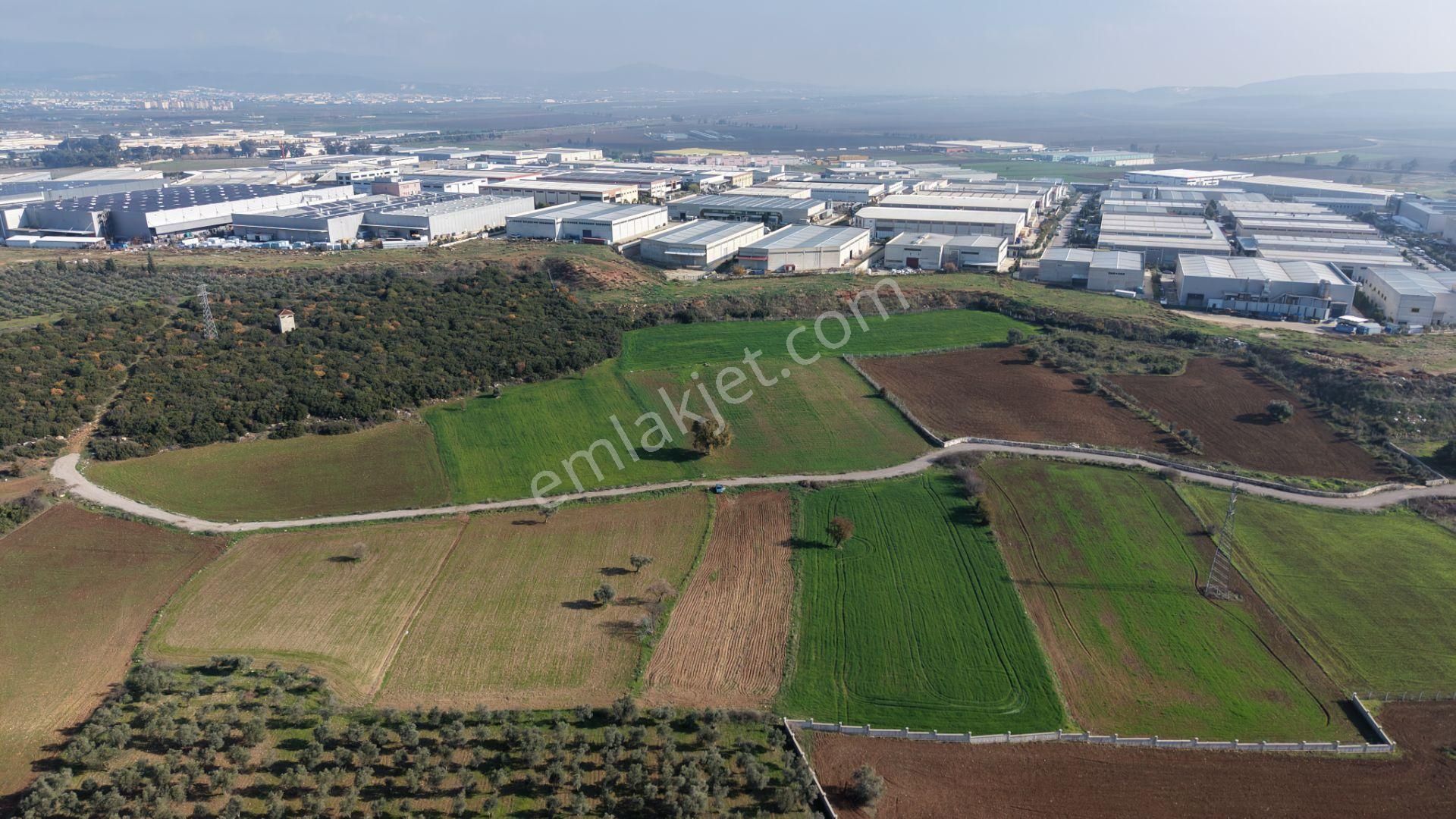 Mendereste Satılık Tektapu 2.500 M2 Pancar Sanayi İmar Dibinde Bahçe - Görsel 12