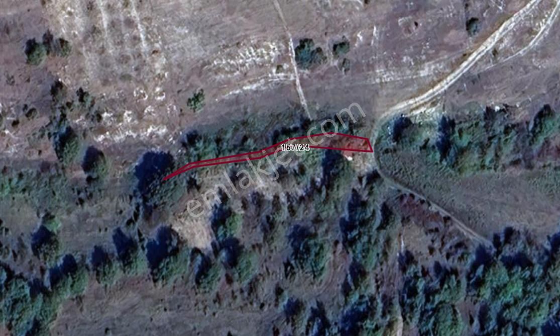 Kocaeli Kandıra Çakmaklar Köyünde 206 M² Tarla Satılıktır