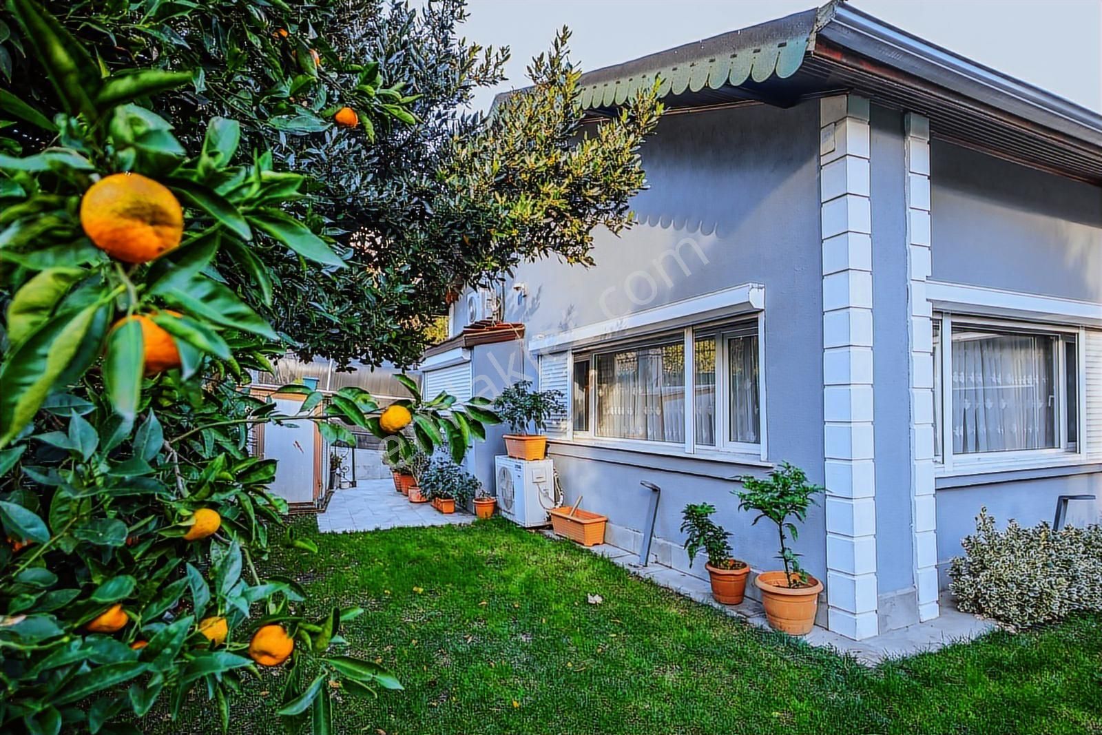 Boğaz Hattında Prestijli 9+1 Villa Sahile 250 M, Geniş Bahçeli - Görsel 27
