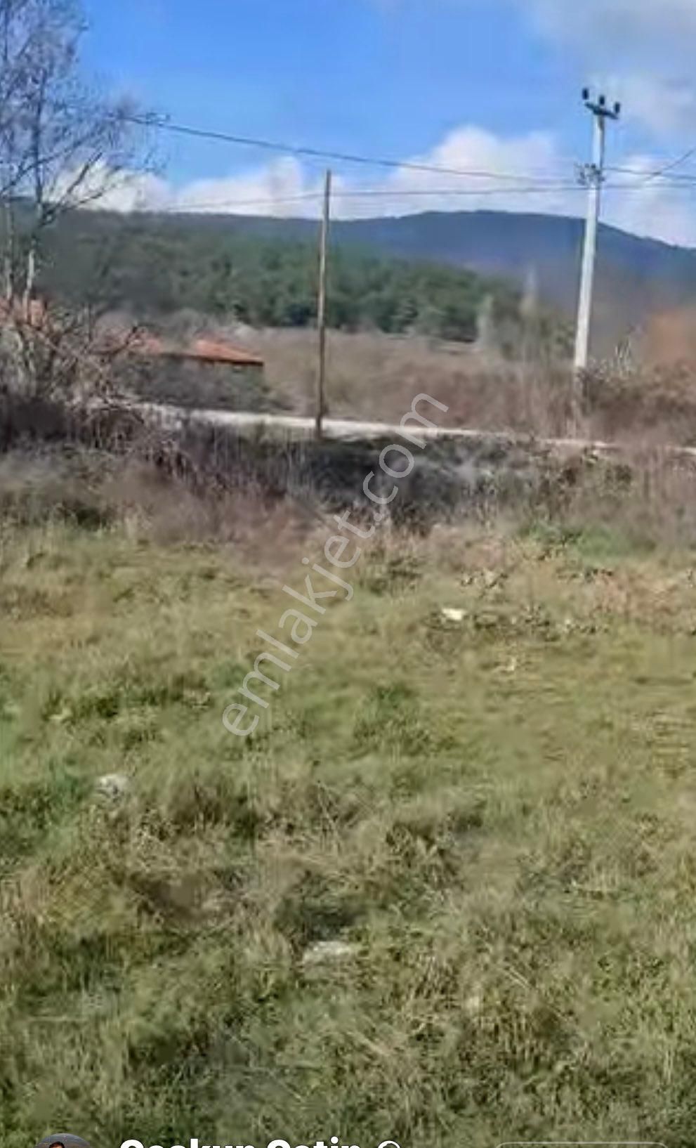 Bayındır Çınardibinde Satılık Tarla - Görsel 6