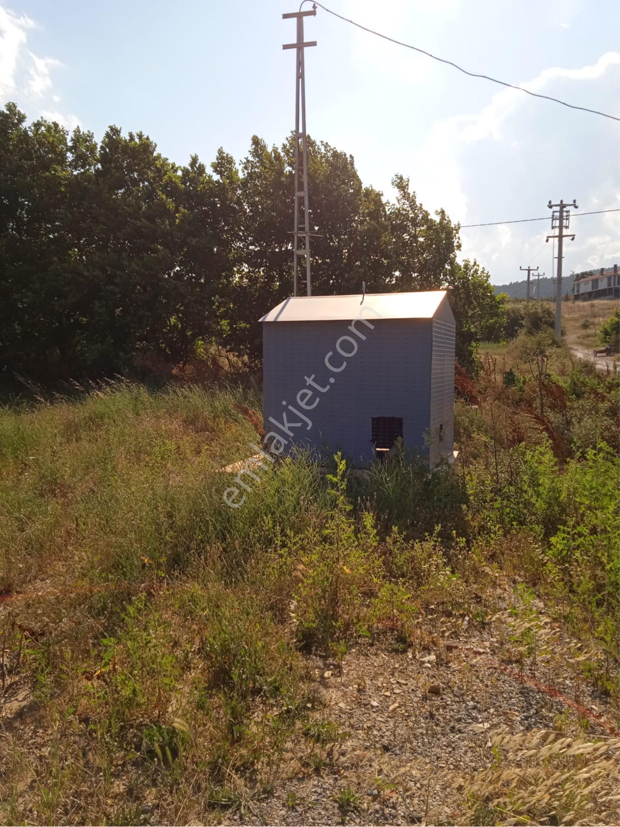 Bayındır Çınardibinde Satılık Tarla - Görsel 14