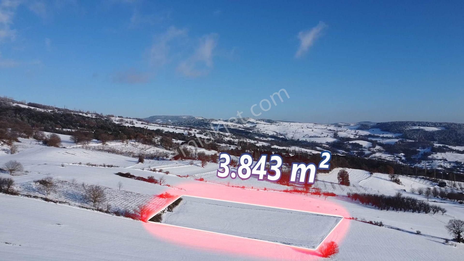 Geyve Sabırlar'da Yatırıma Uygun 3.843 M2 Tarla - Görsel 5