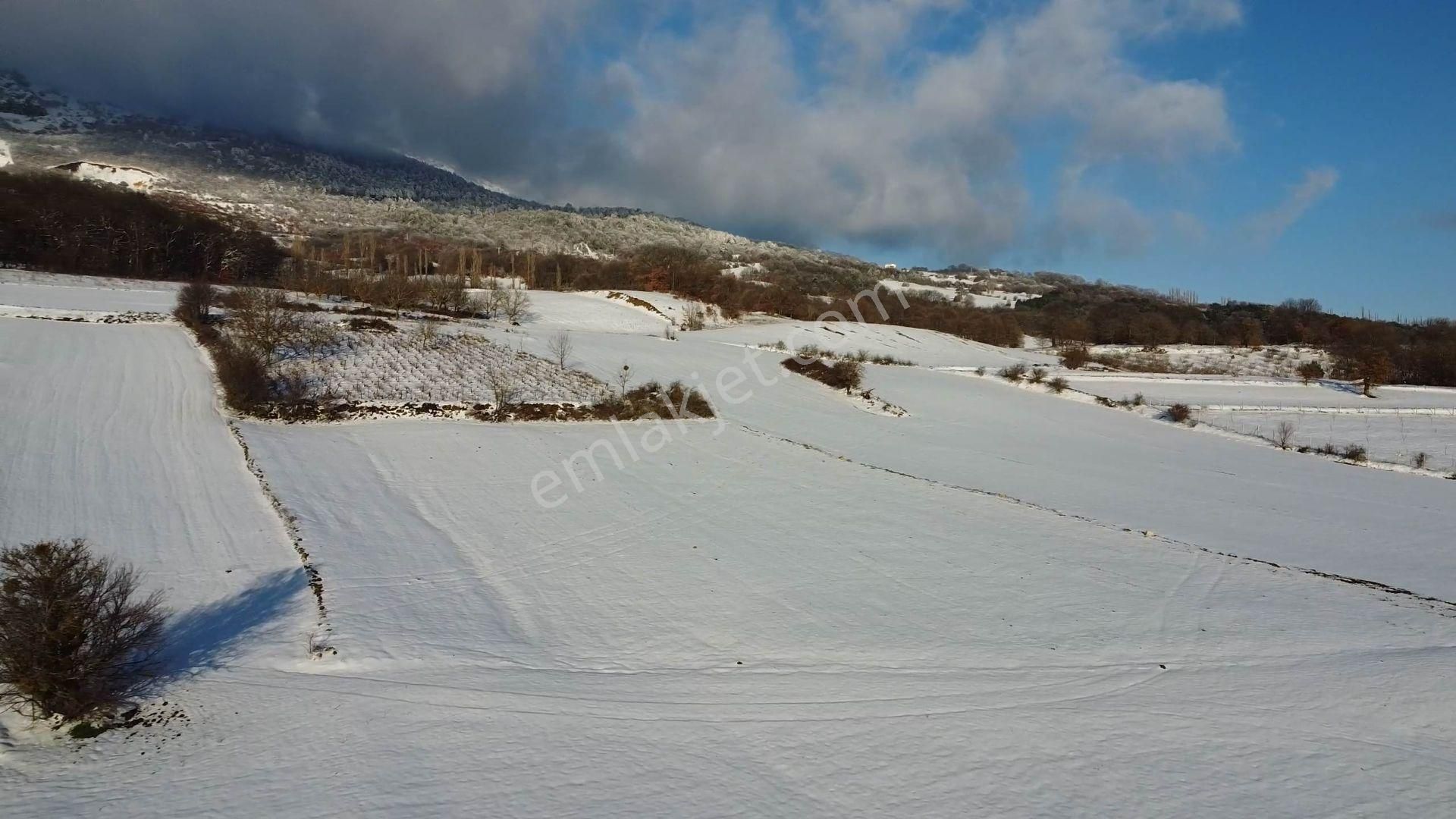 Geyve Sabırlar'da Yatırıma Uygun 3.843 M2 Tarla - Görsel 6