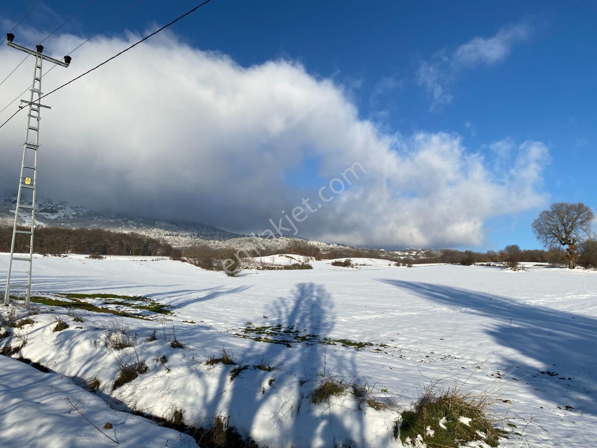 Geyve Sabırlar'da Yatırıma Uygun 3.843 M2 Tarla - Görsel 12