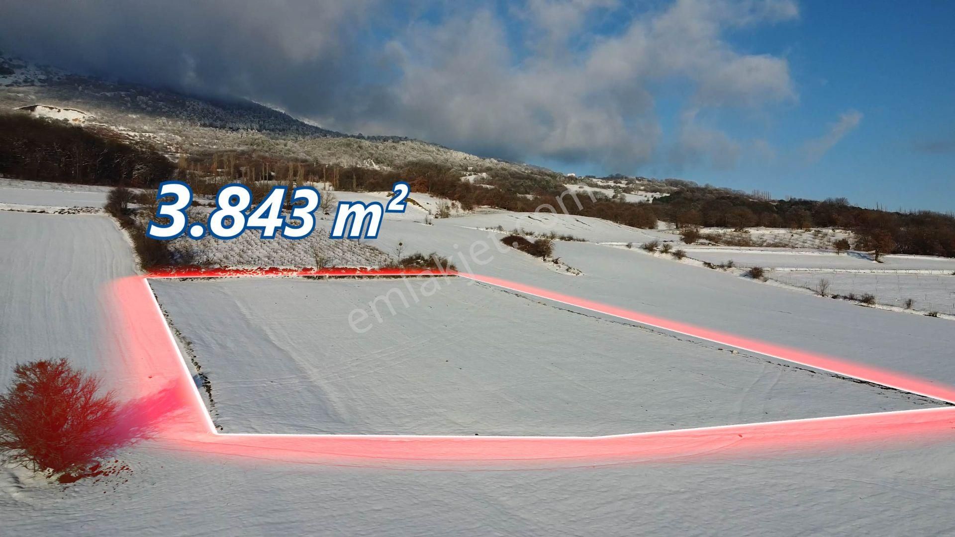 Geyve Sabırlar'da Yatırıma Uygun 3.843 M2 Tarla - Görsel 7