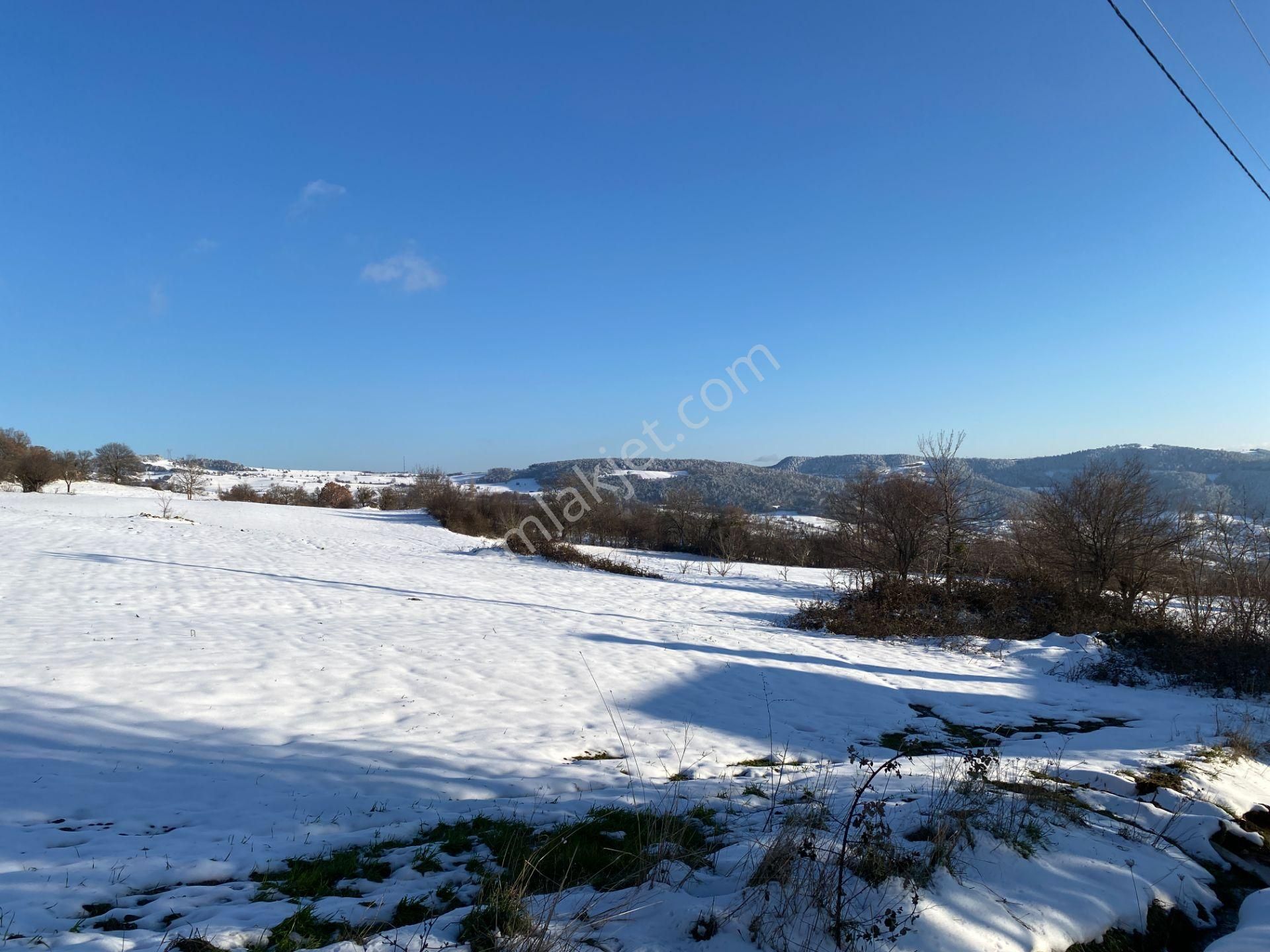 Geyve Sabırlar'da Yatırıma Uygun 3.843 M2 Tarla - Görsel 11
