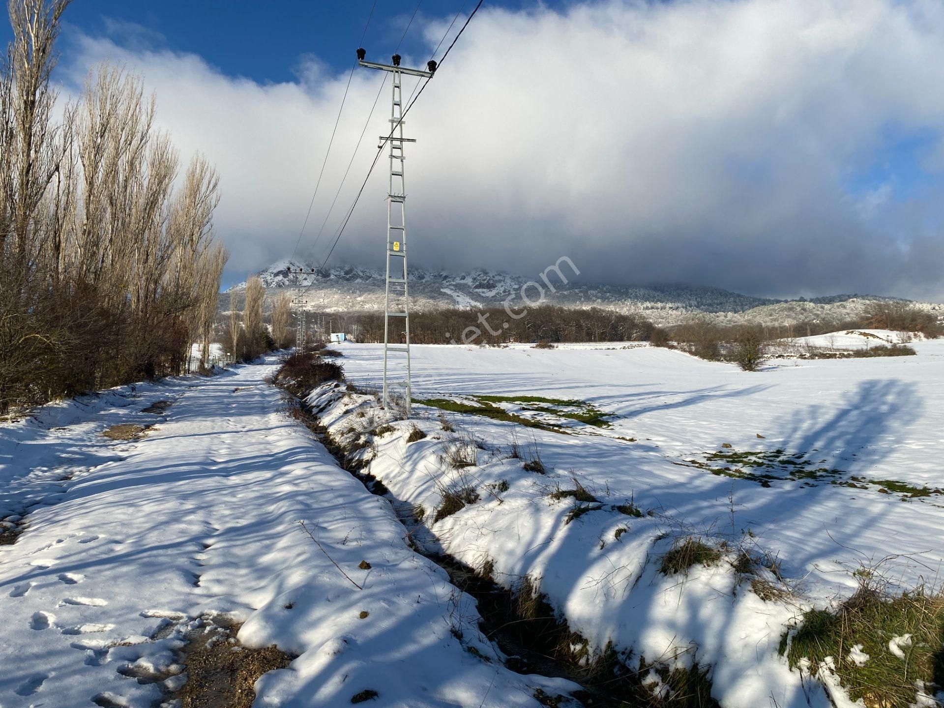 Geyve Sabırlar'da Yatırıma Uygun 3.843 M2 Tarla - Görsel 14