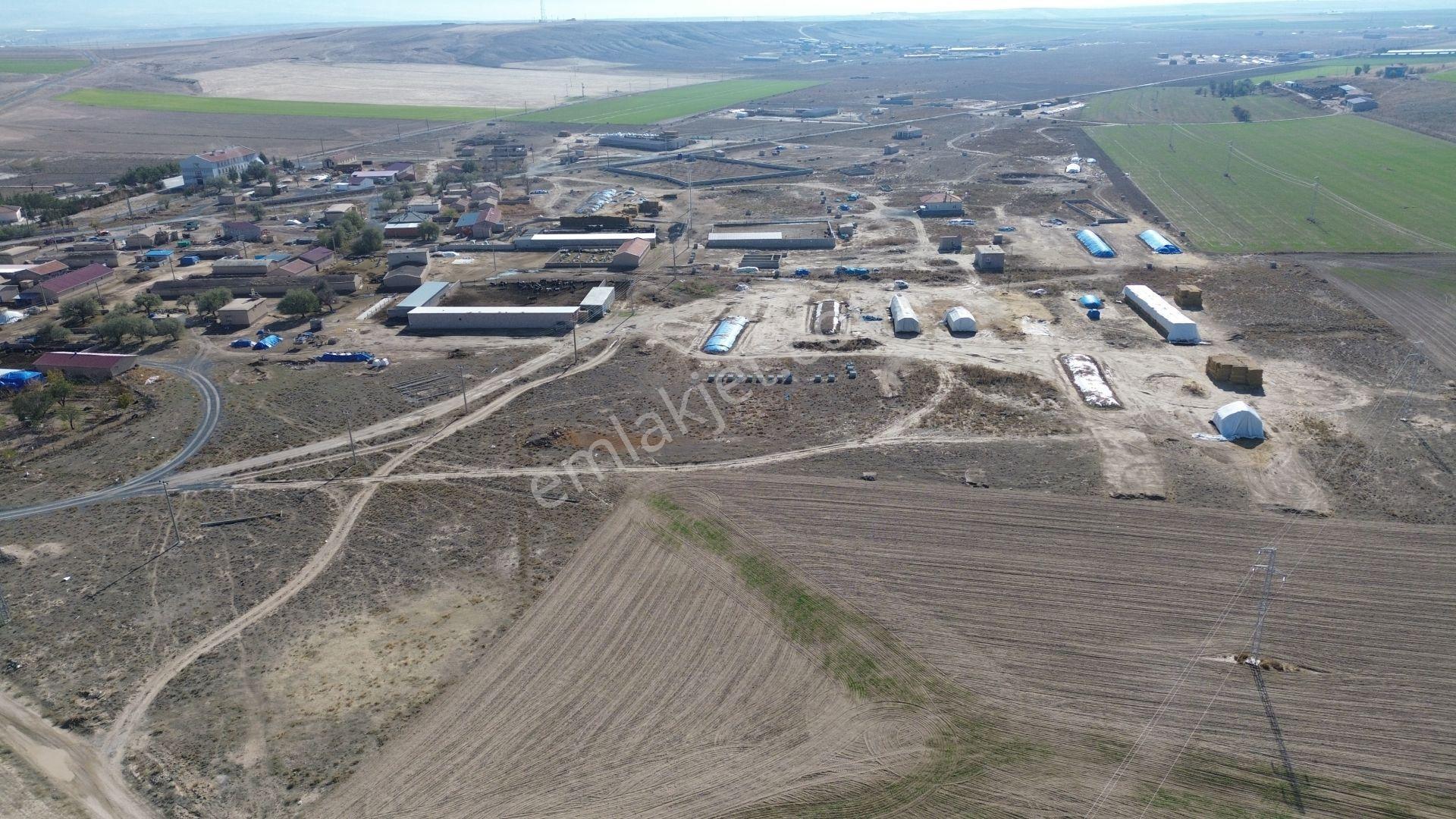 Konya / Emirgazi / Işıklar 444 M² Konut İmarlı Arsa - Görsel 5