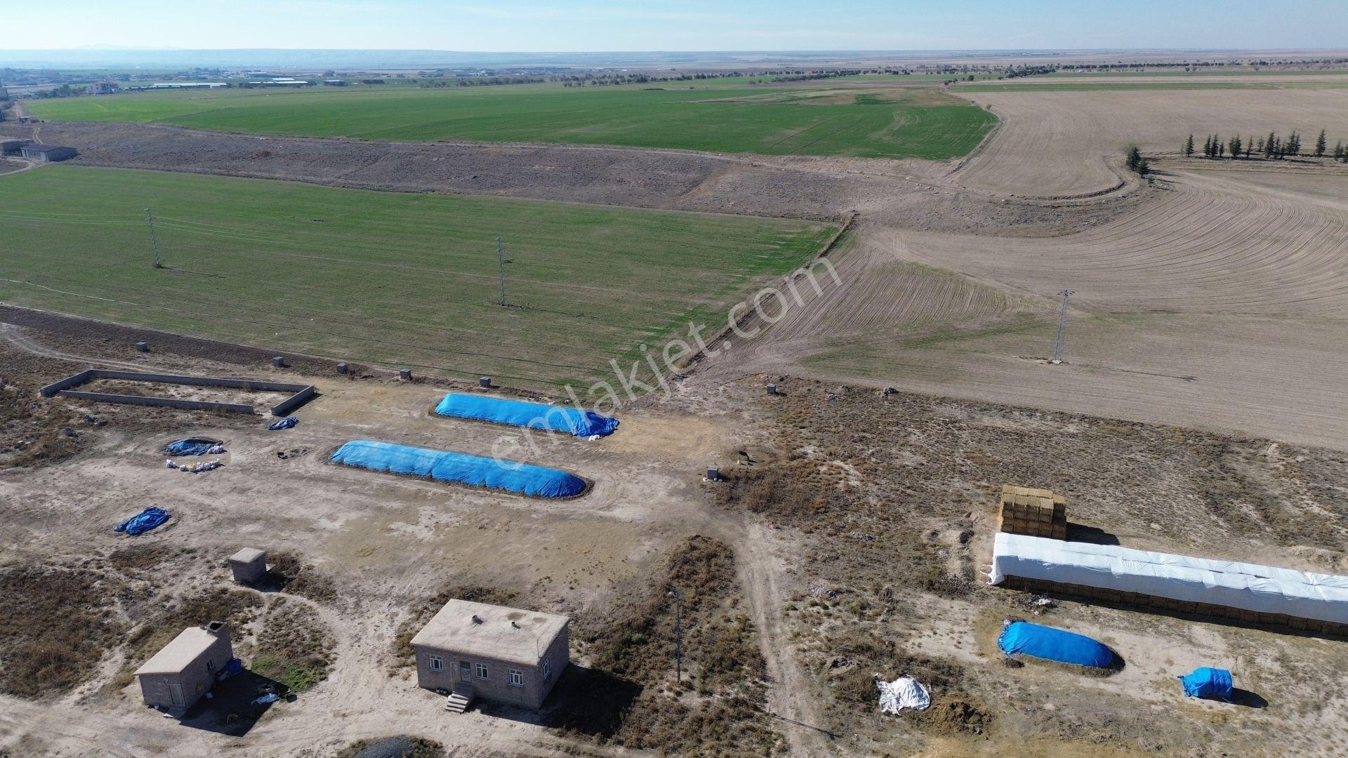 Konya / Emirgazi / Işıklar 444 M² Konut İmarlı Arsa - Görsel 8