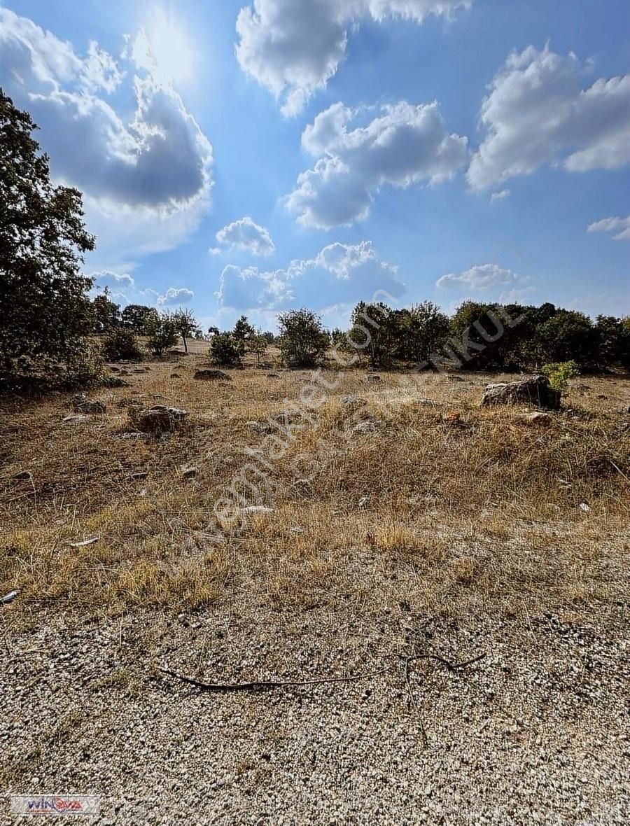 Winova | Tekke Köy Asfalta Cephe Uygun Fiyat ! - Görsel 3