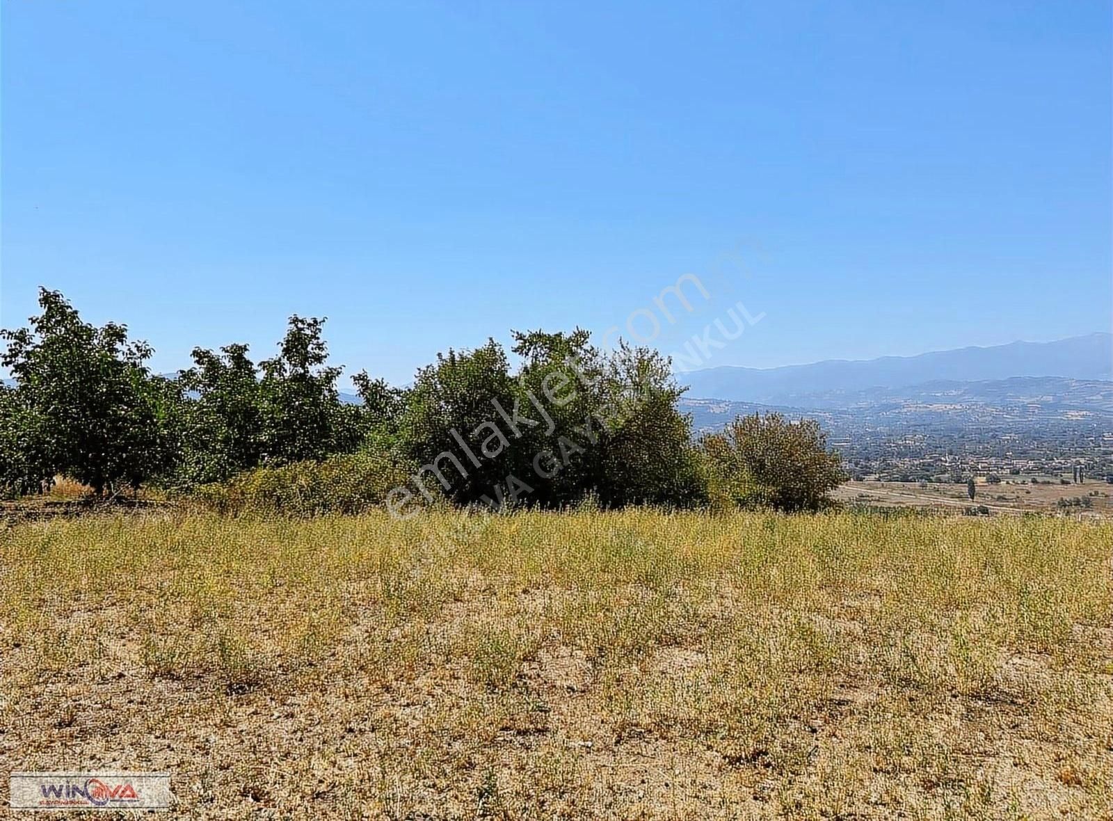 Winova| Küçük Yenice'de Hobi Bahçesine Uygun Fırsat Tarla ! - Görsel 10